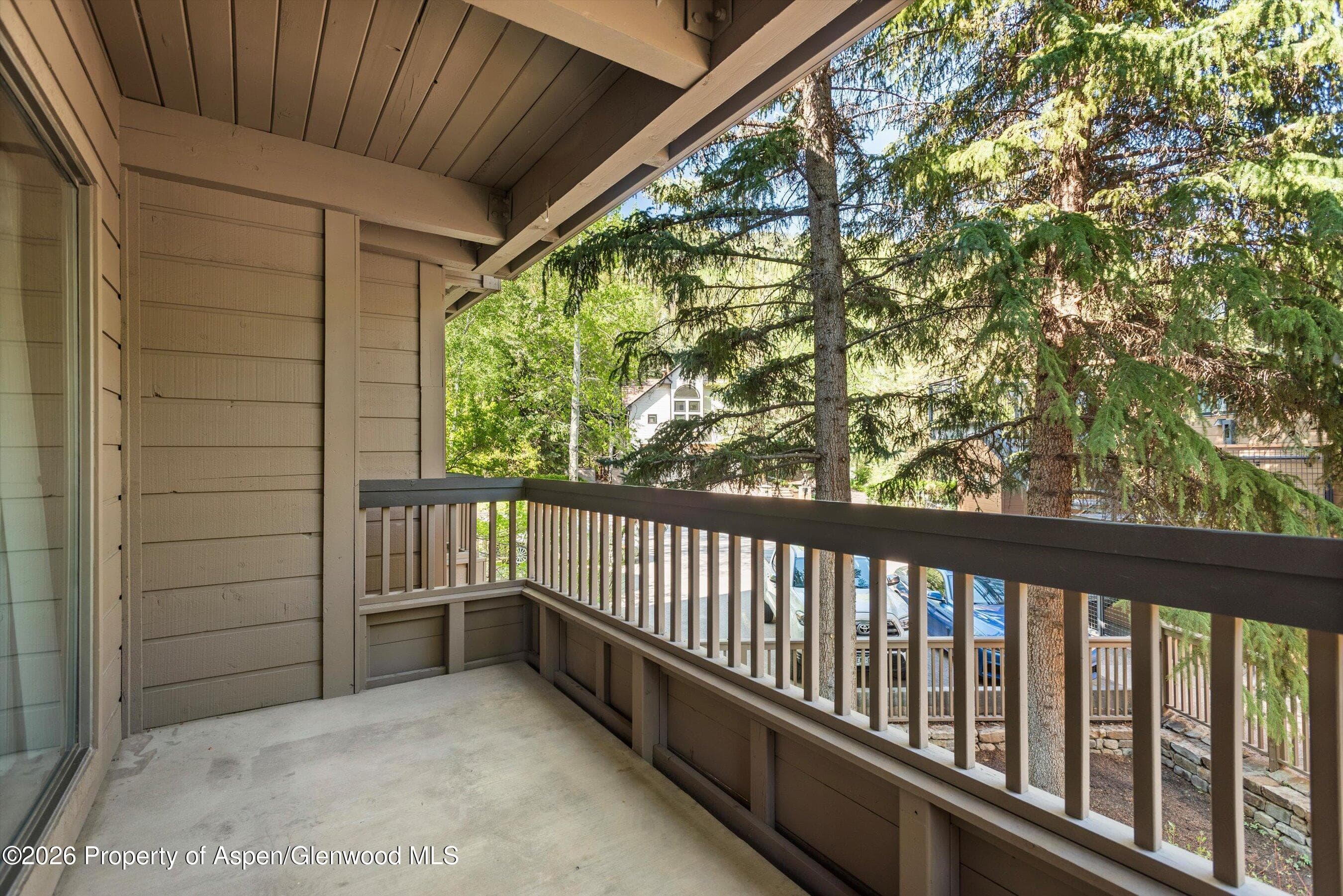 610 S West End Street J202, Aspen, CO 81611 - Photo 11