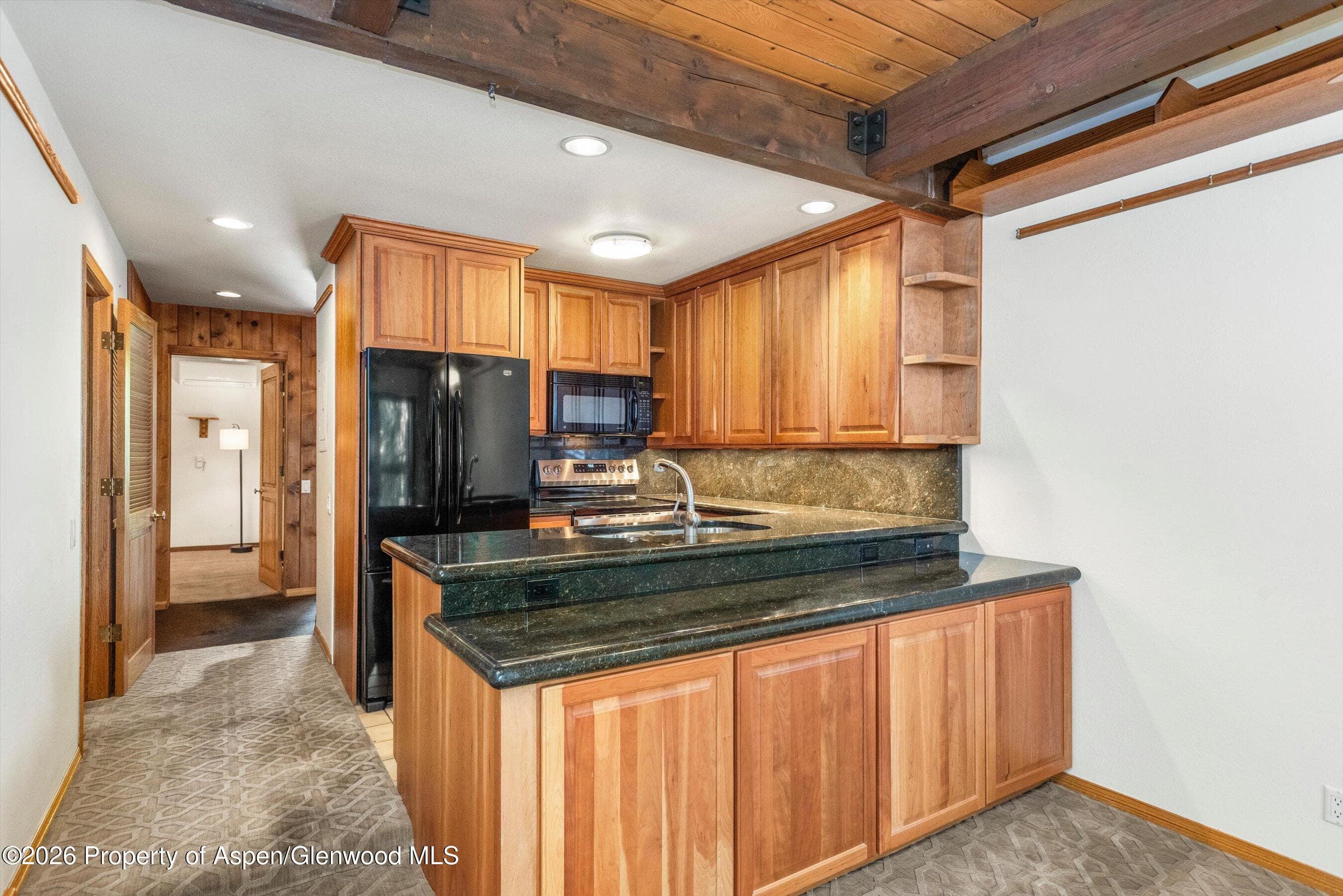 610 S West End Street J202, Aspen, CO 81611 - Photo 4