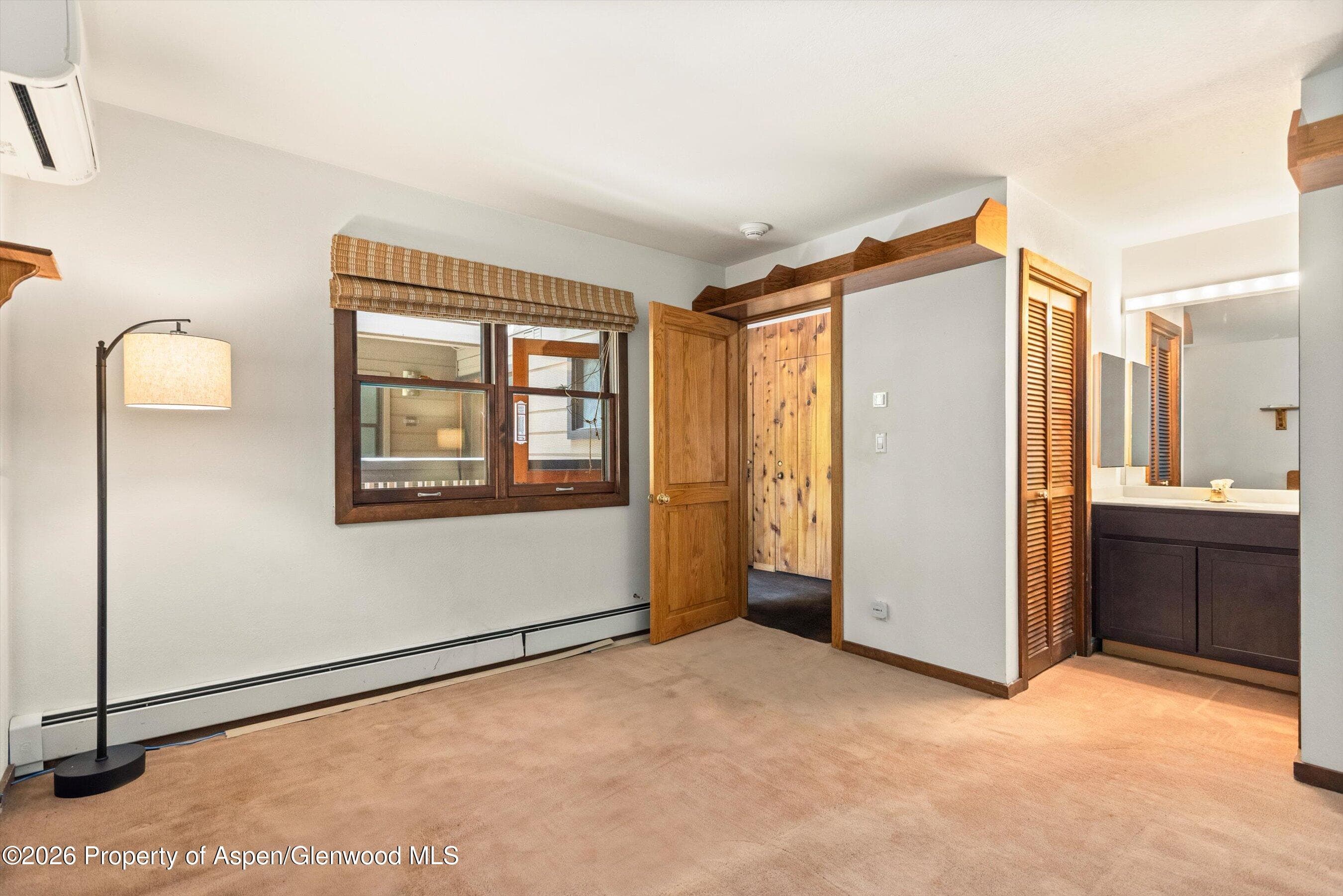 610 S West End Street J202, Aspen, CO 81611 - Photo 8