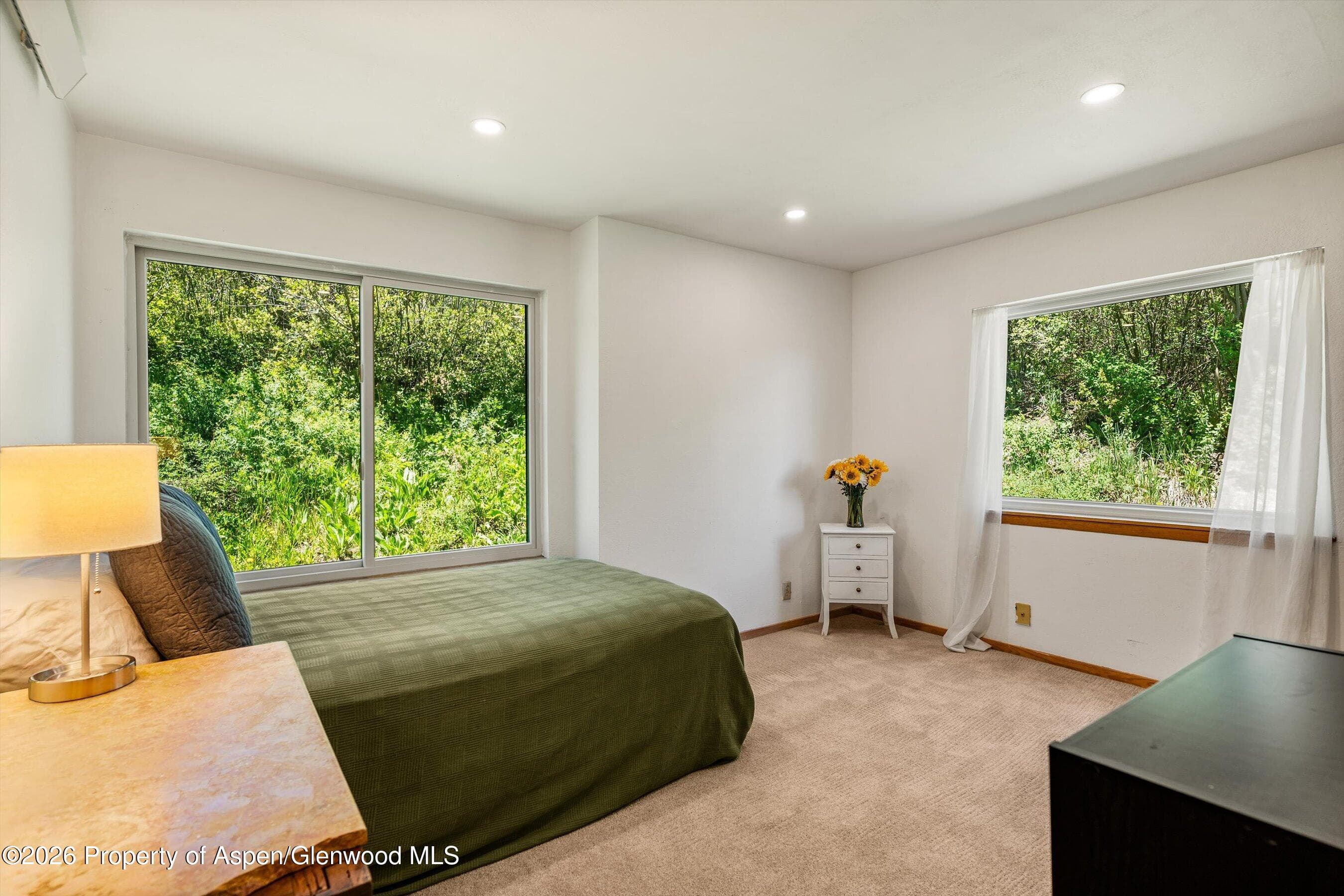 35 Lower Woodbridge Road U173, Snowmass Village, CO 81615 - Photo 16