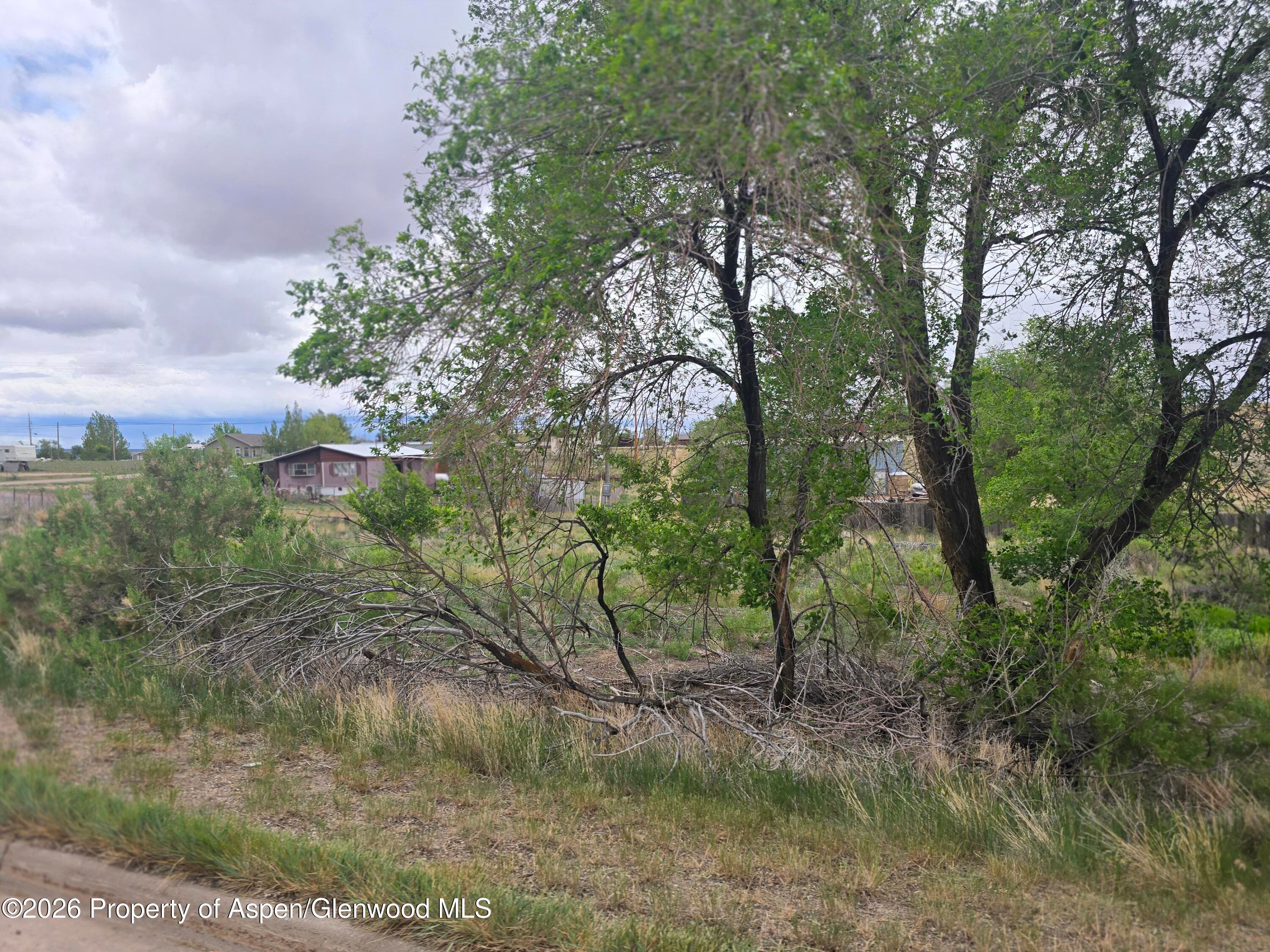 Tbd W Highway 40 (Dinosaur), Dinosaur, CO 81610 - Photo 4