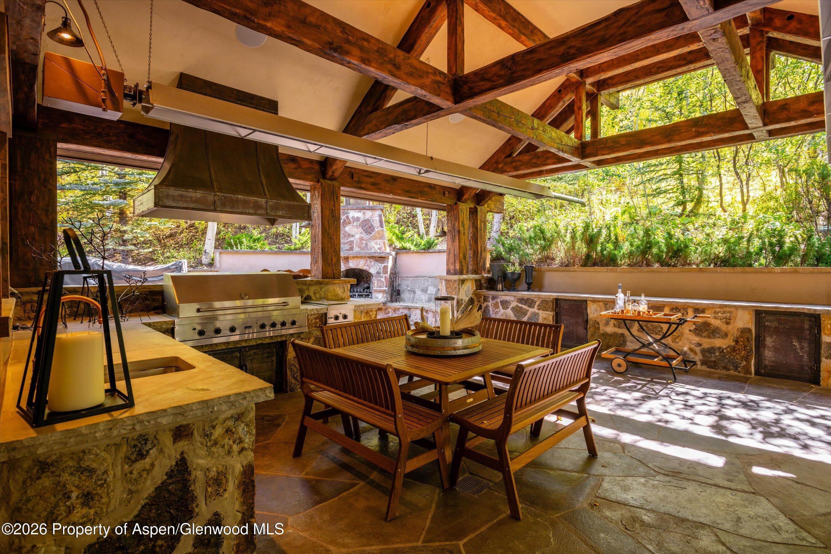 163 Spruce Ridge Lane, Snowmass Village, CO 81615 - Photo 10