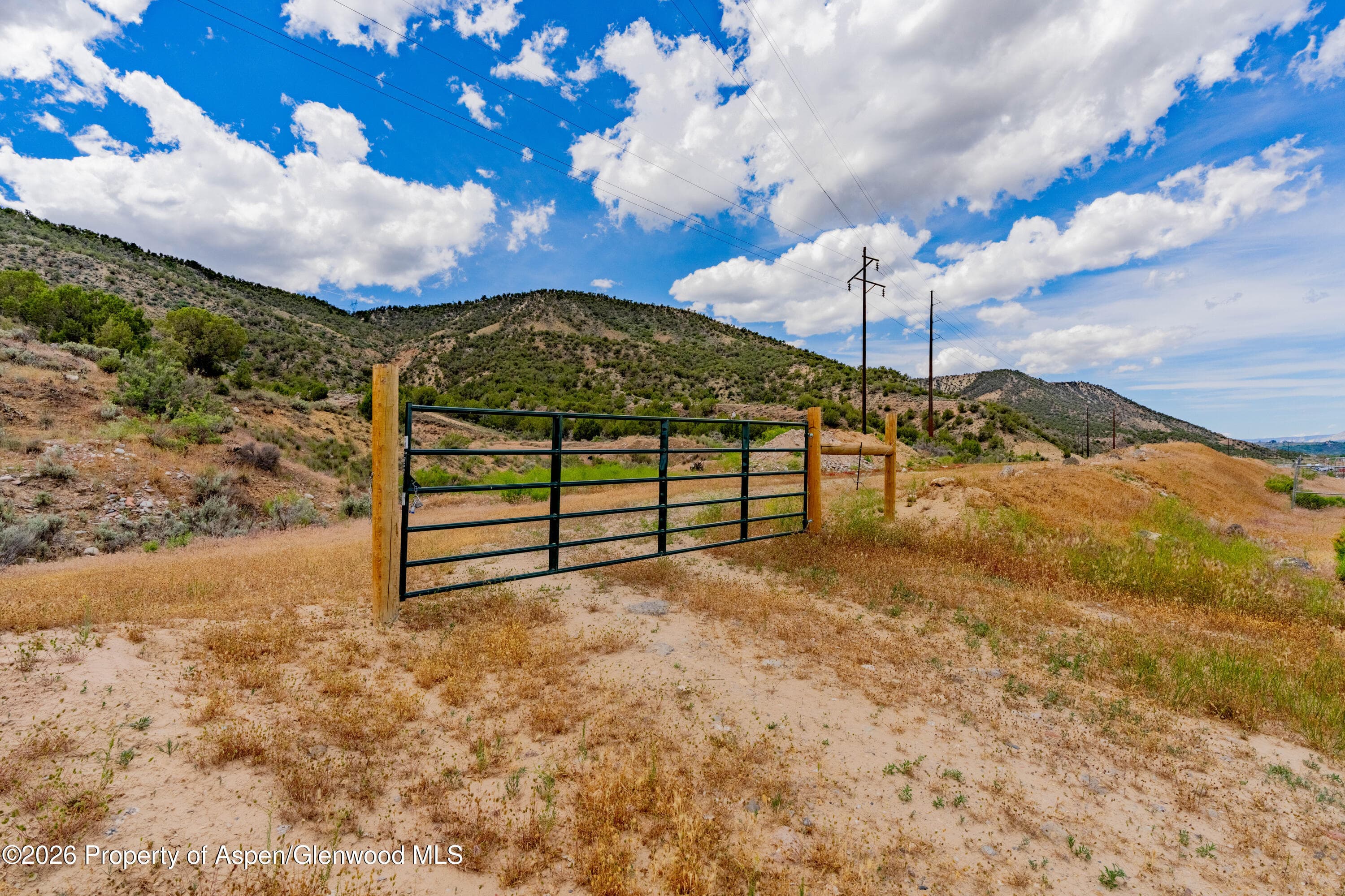 799 Buckhorn Drive, Rifle, CO 81650 - Photo 4