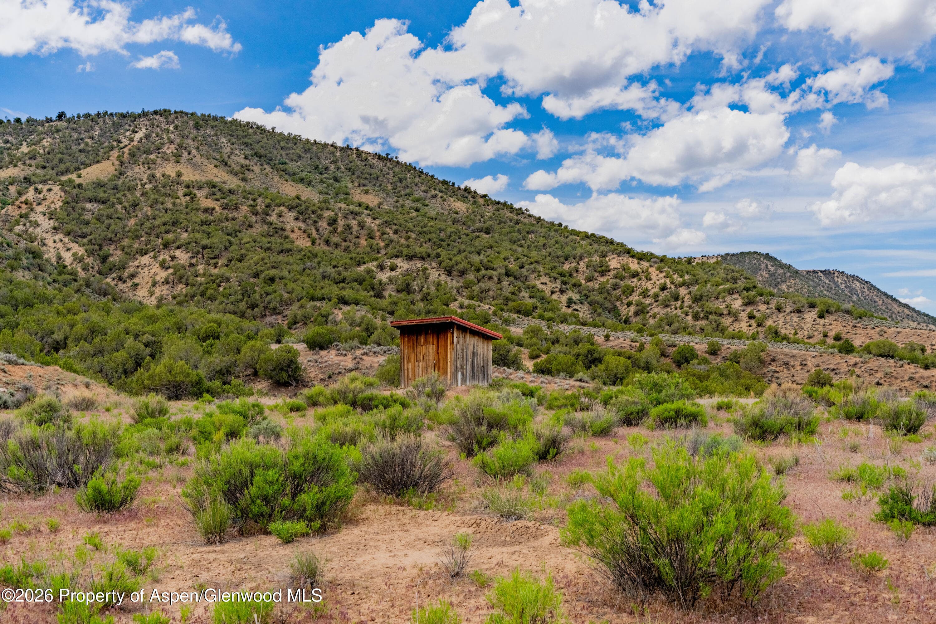 799 Buckhorn Drive, Rifle, CO 81650 - Photo 7