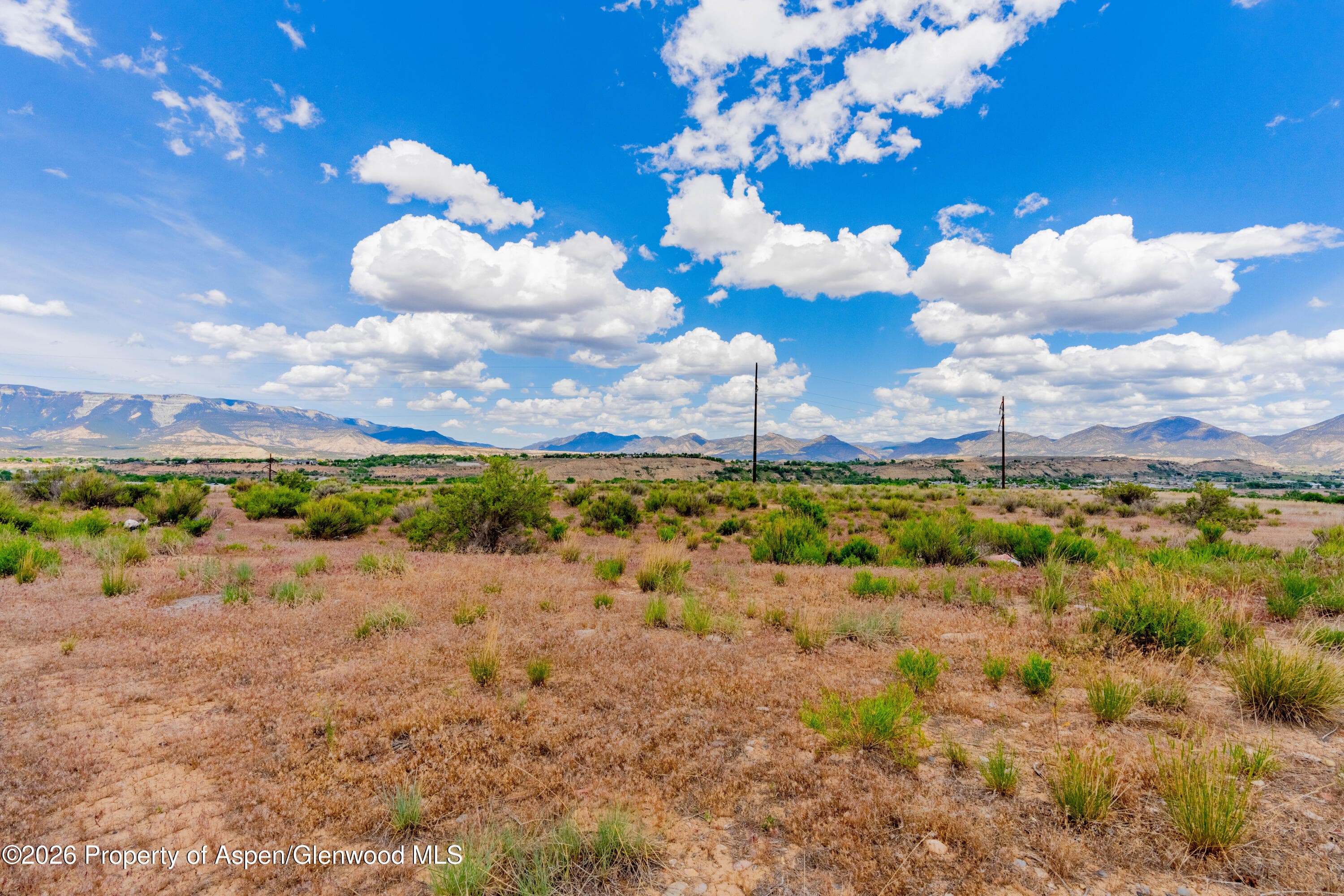 799 Buckhorn Drive, Rifle, CO 81650 - Photo 16