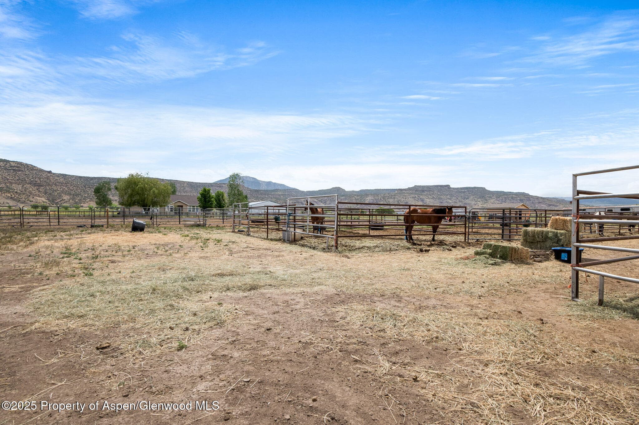 2022 45 Road, De Beque, CO 81630 - Photo 23