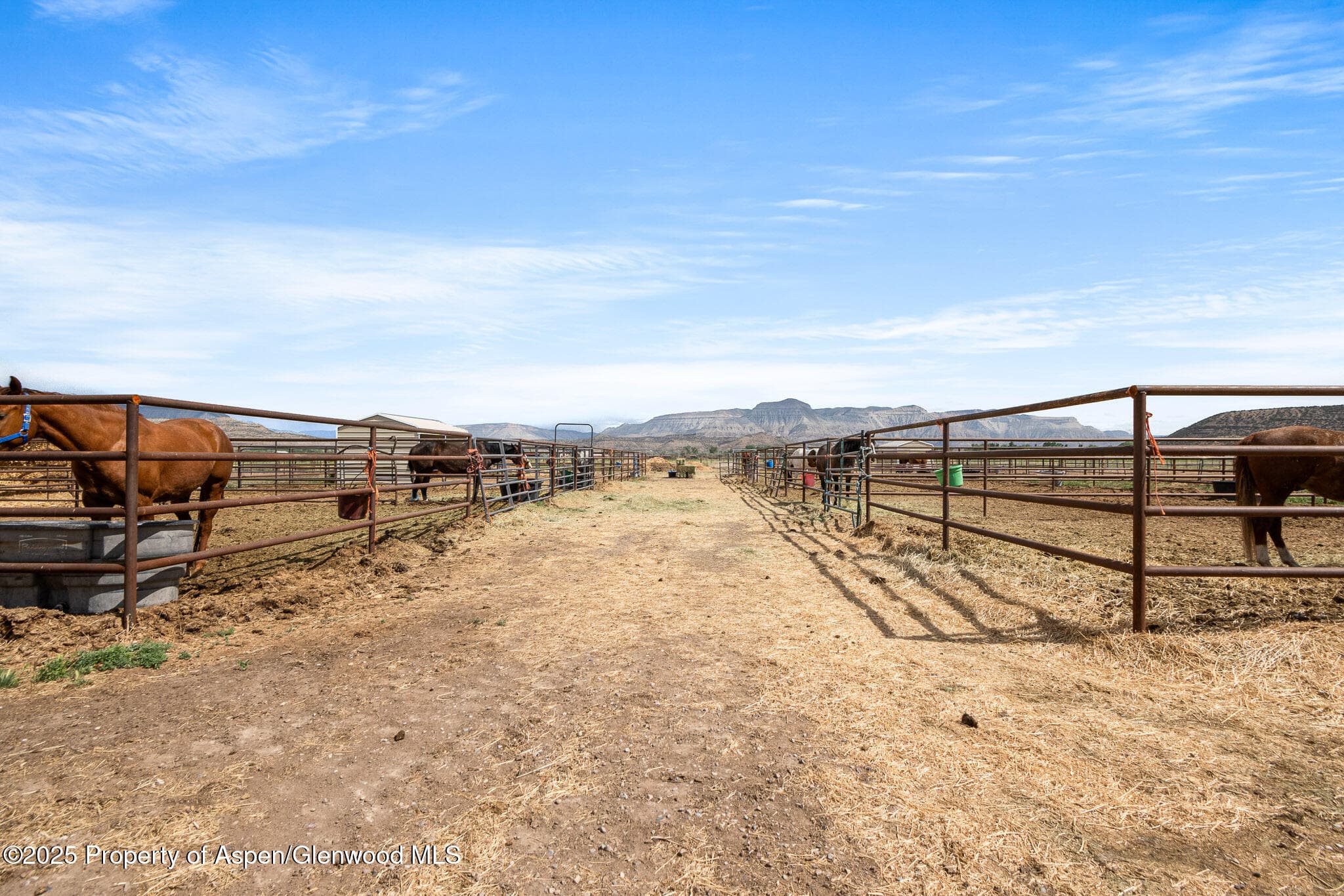 2022 45 Road, De Beque, CO 81630 - Photo 24