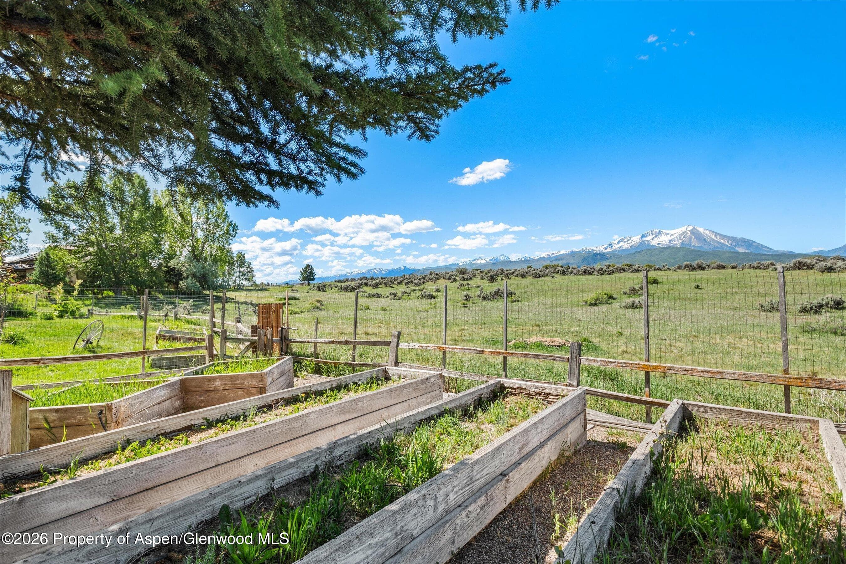 1164 Kings Row Street, Carbondale, CO 81623 - Photo 9