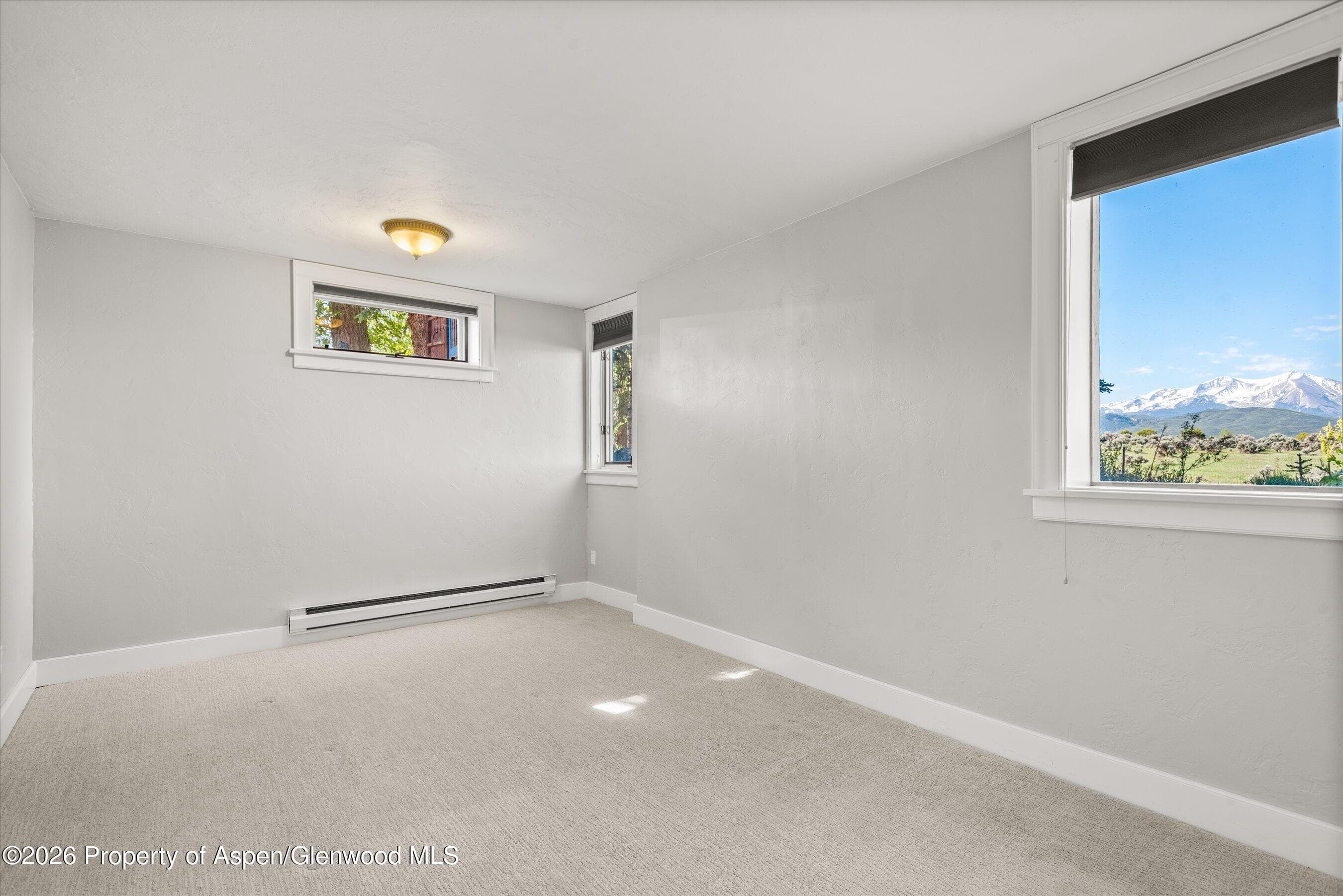 1164 Kings Row Street, Carbondale, CO 81623 - Photo 27