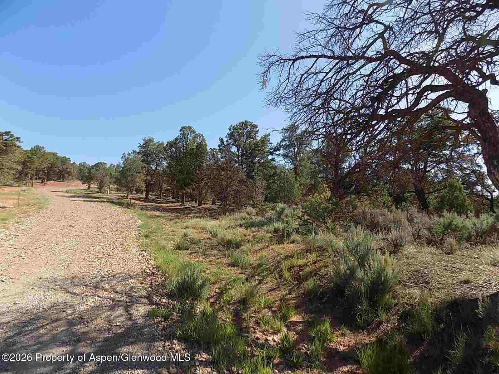 Tbd County Road 107, Carbondale, CO 81623 - Photo 3
