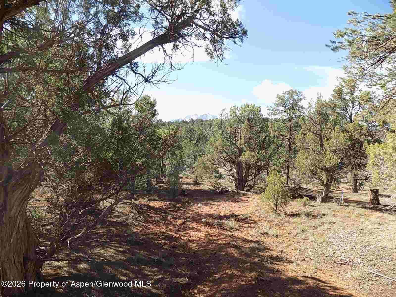 Tbd County Road 107, Carbondale, CO 81623 - Photo 5