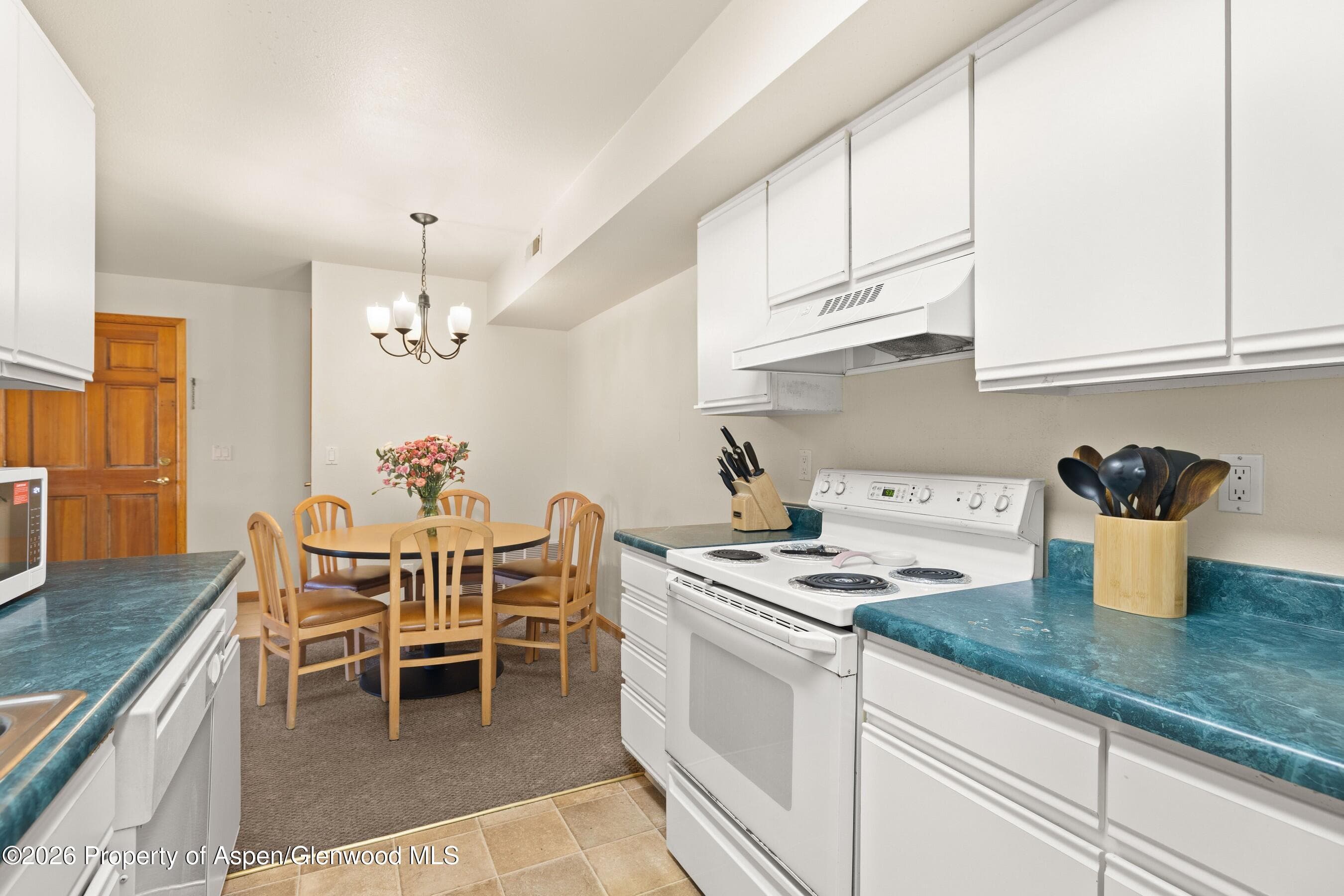 85 Meadow Wood Drive B4, Carbondale, CO 81623 - Photo 4