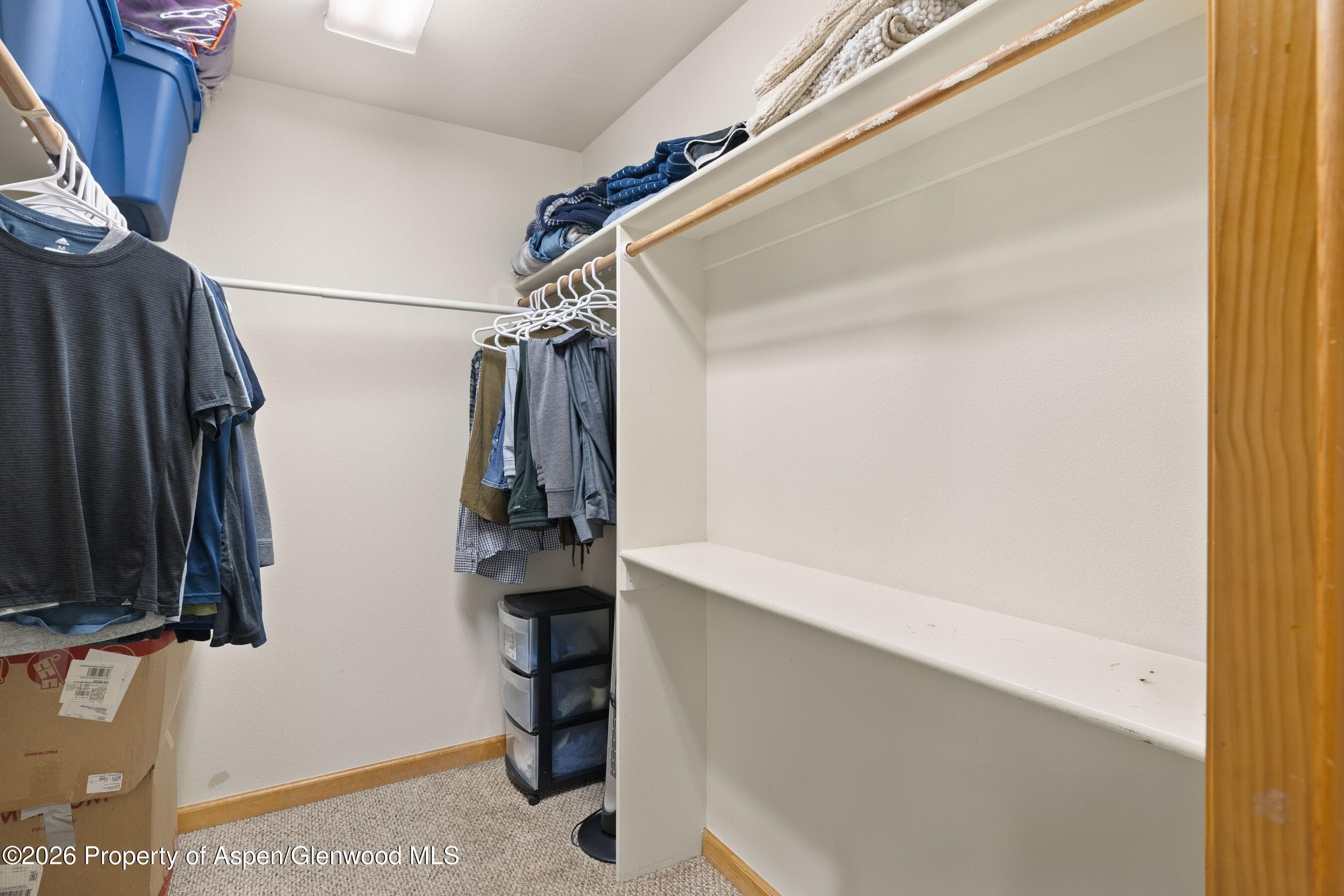 85 Meadow Wood Drive B4, Carbondale, CO 81623 - Photo 11