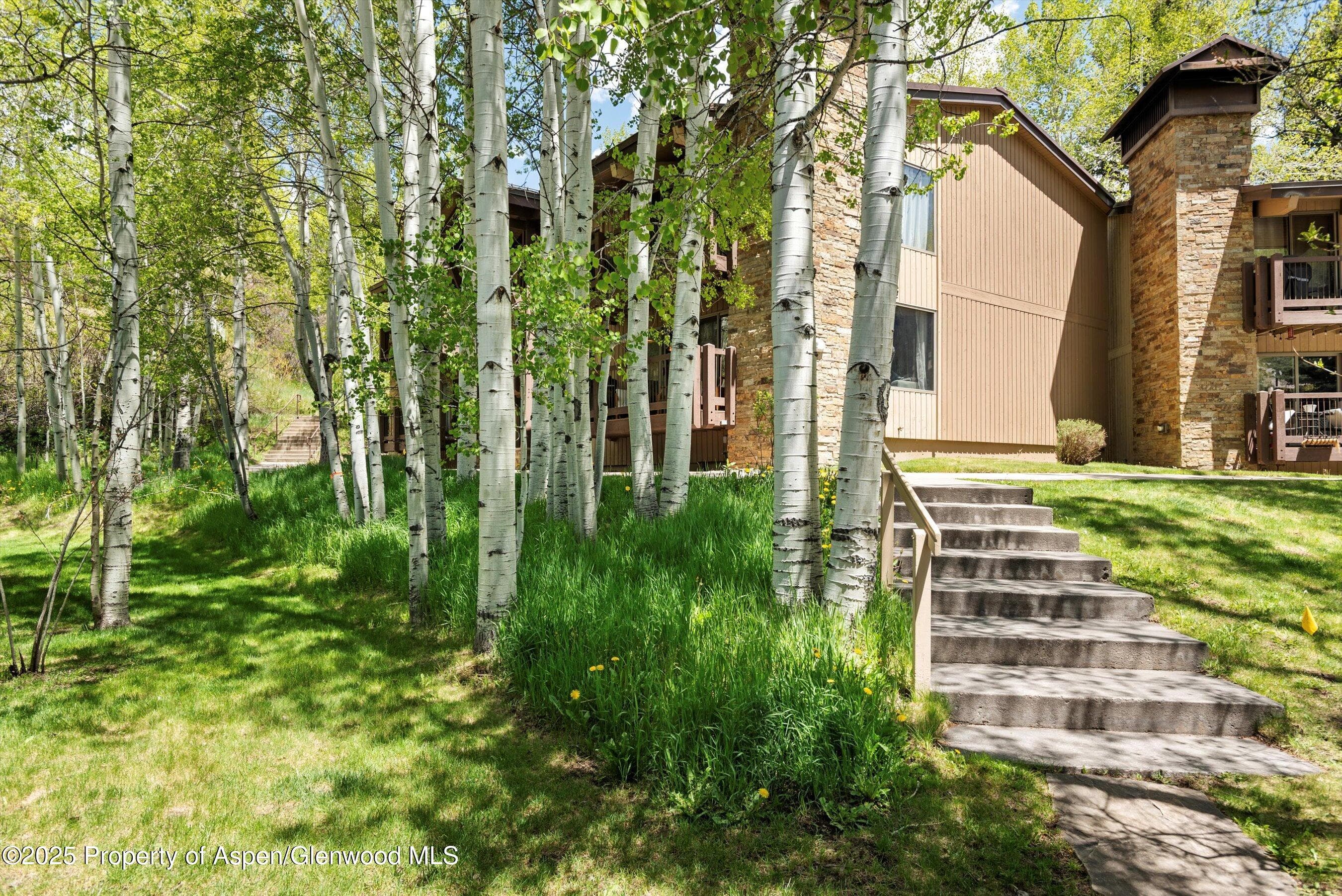 35 Upper Woodbridge Road 2a, Snowmass Village, CO 81615 - Photo 23