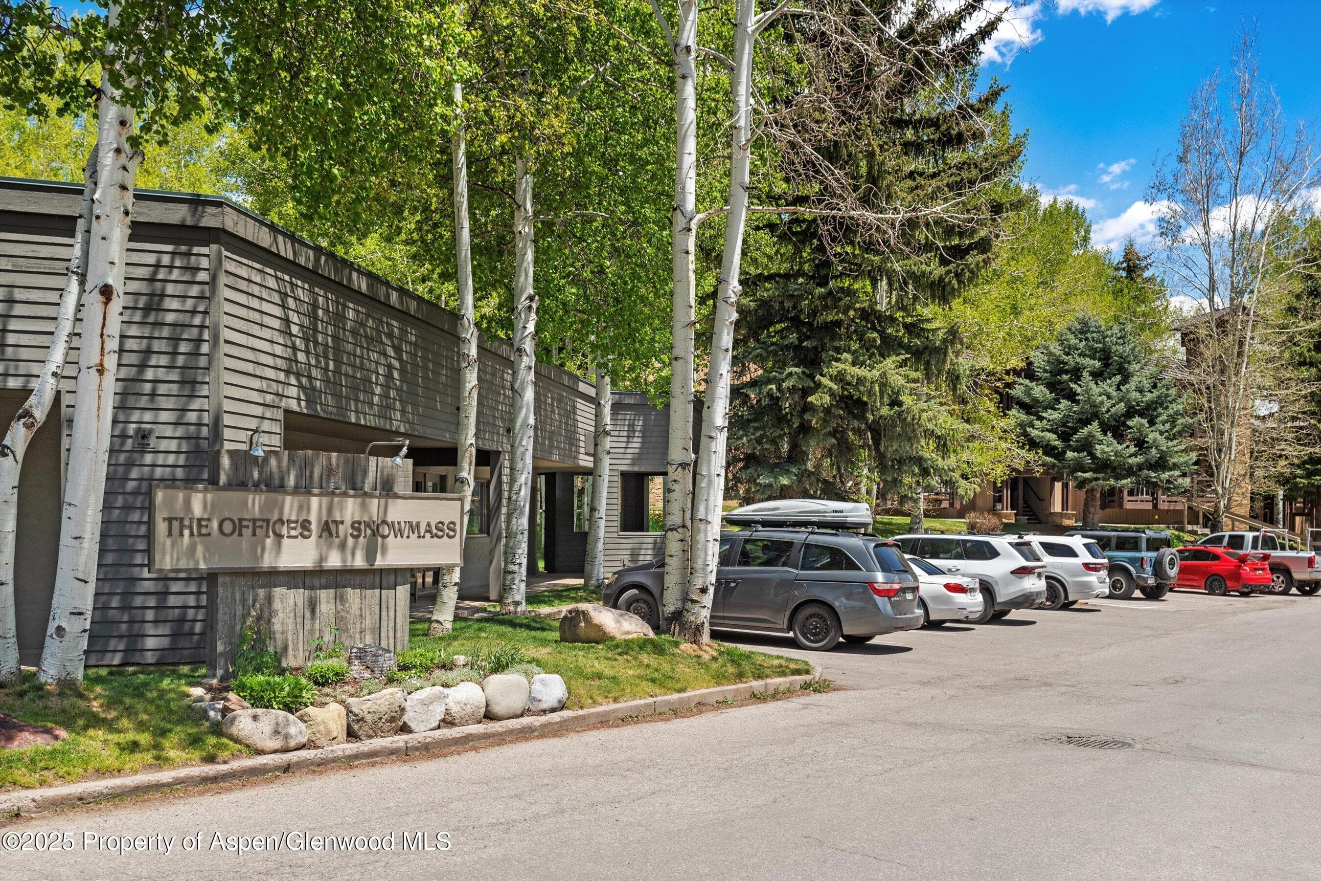 35 Upper Woodbridge Road 2a, Snowmass Village, CO 81615 - Photo 28