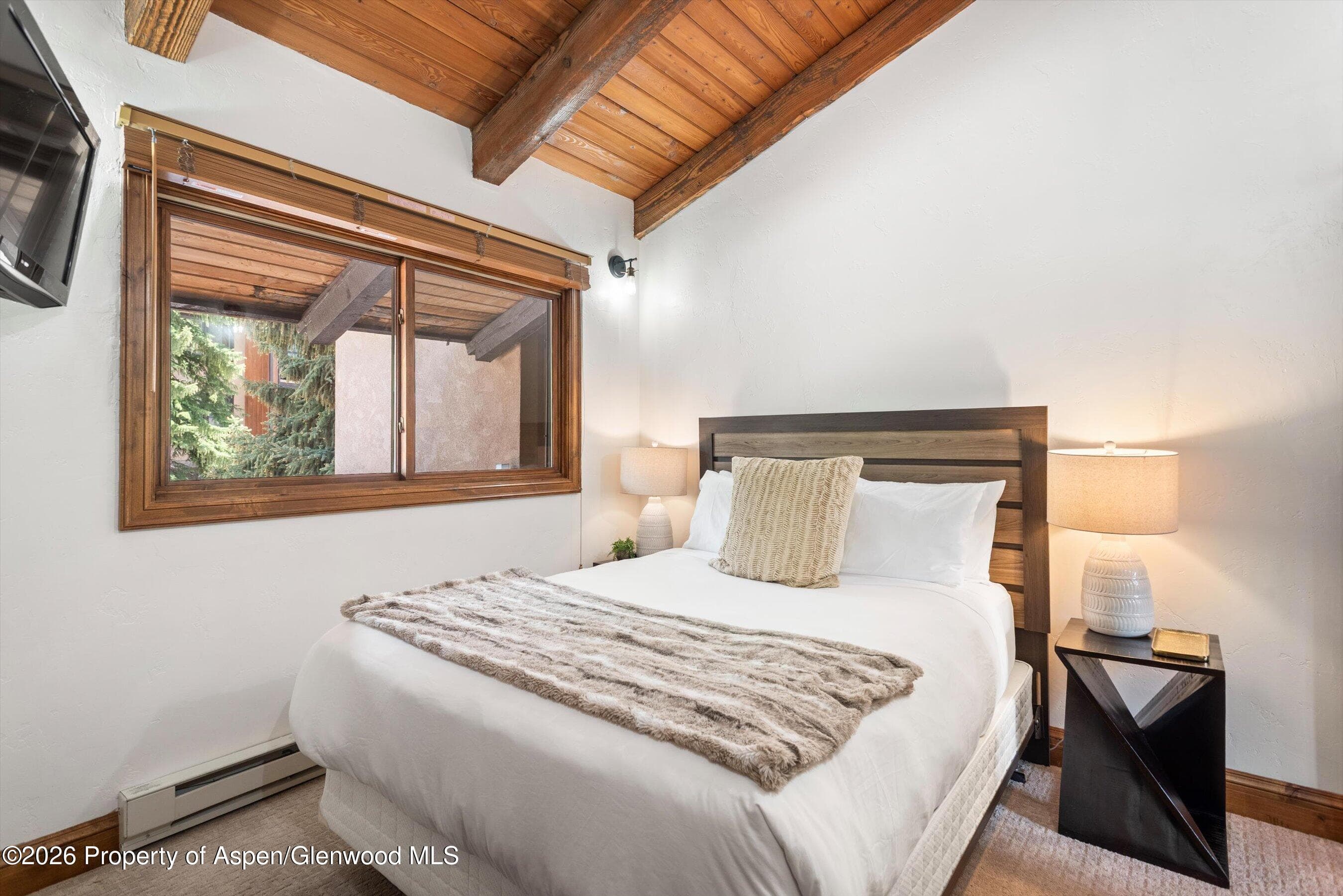 400 Wood Road E-2209, Snowmass Village, CO 81615 - Photo 13
