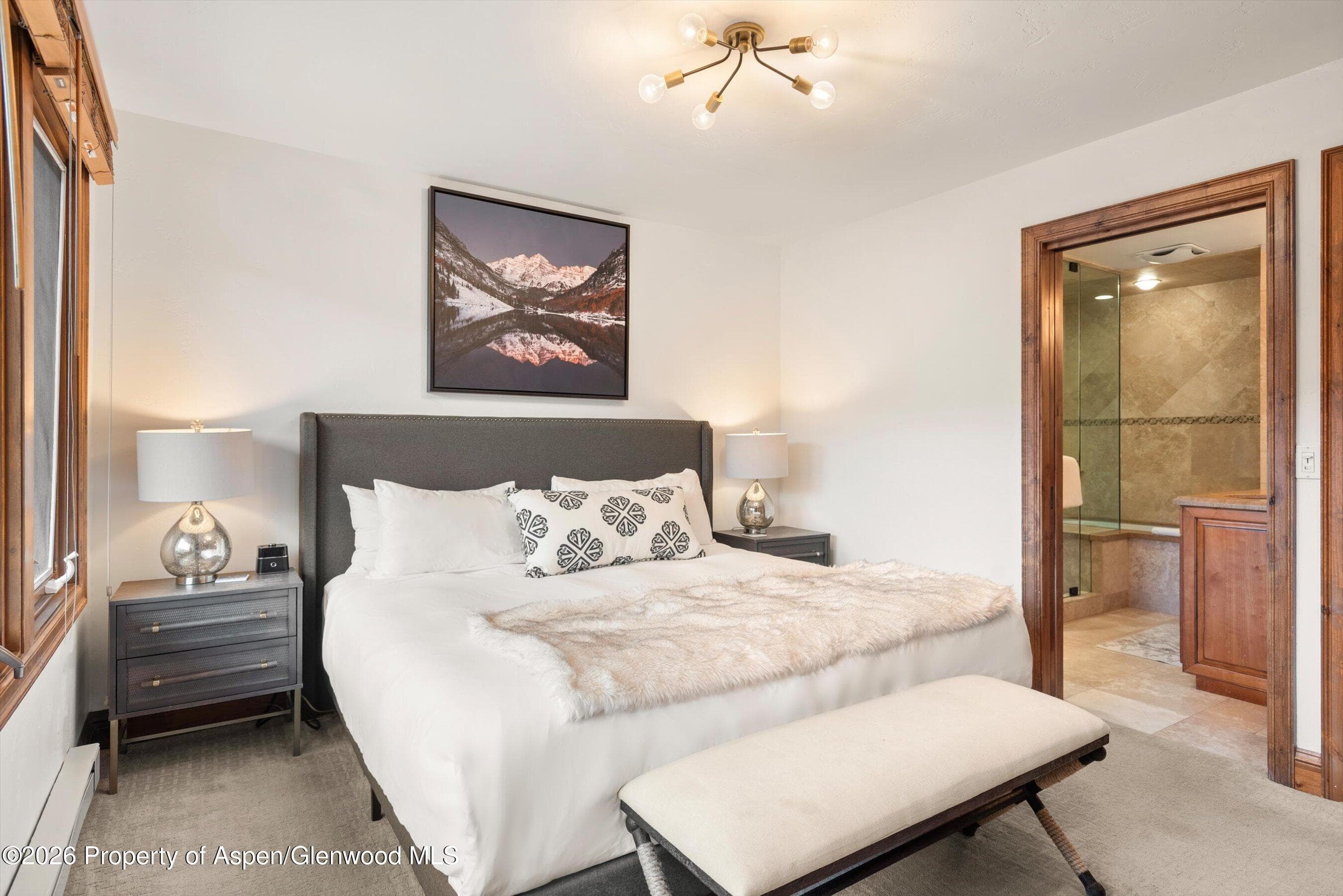 400 Wood Road E-2209, Snowmass Village, CO 81615 - Photo 20