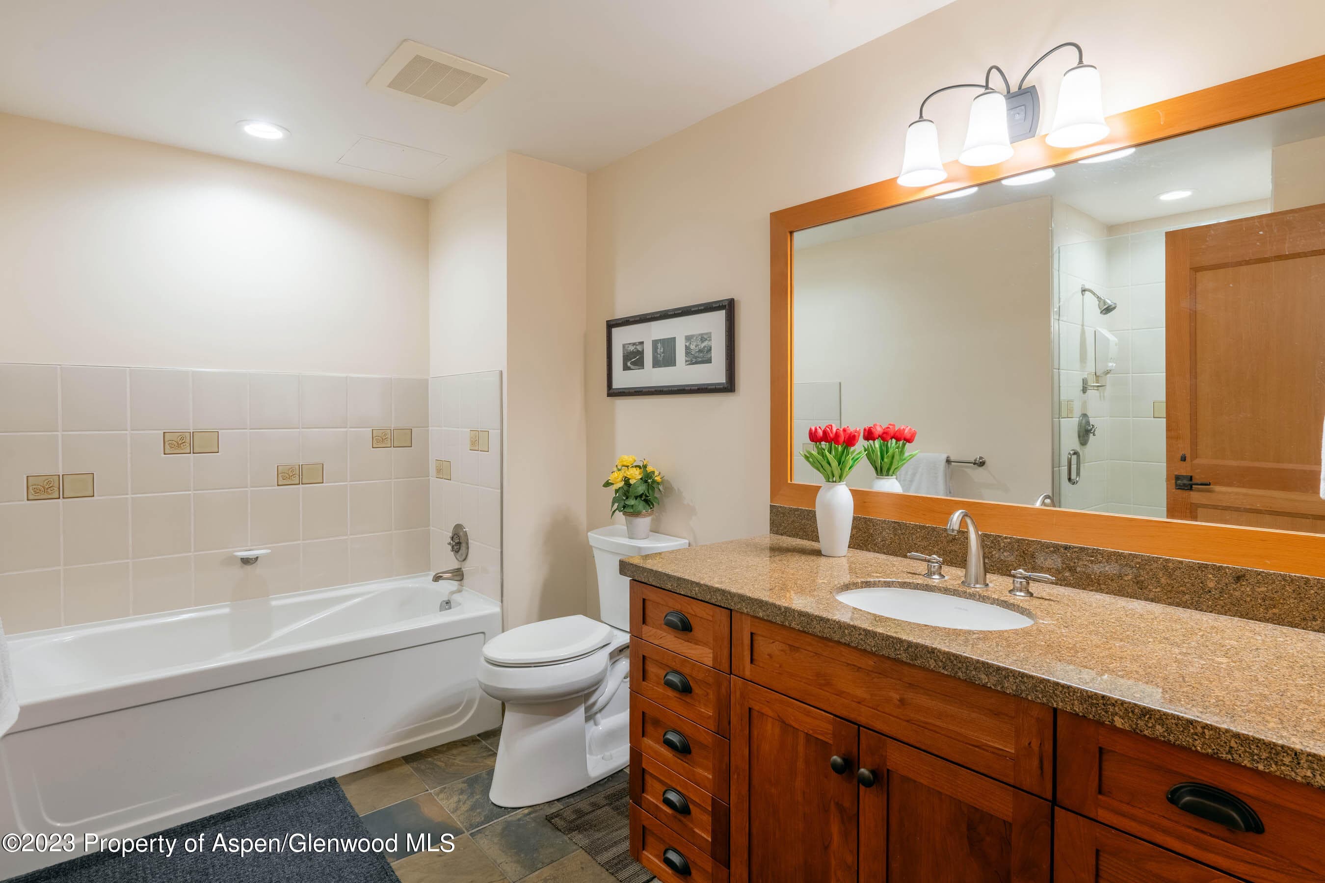 110 Carriage Way 3406, Snowmass Village, CO 81615 - Photo 10