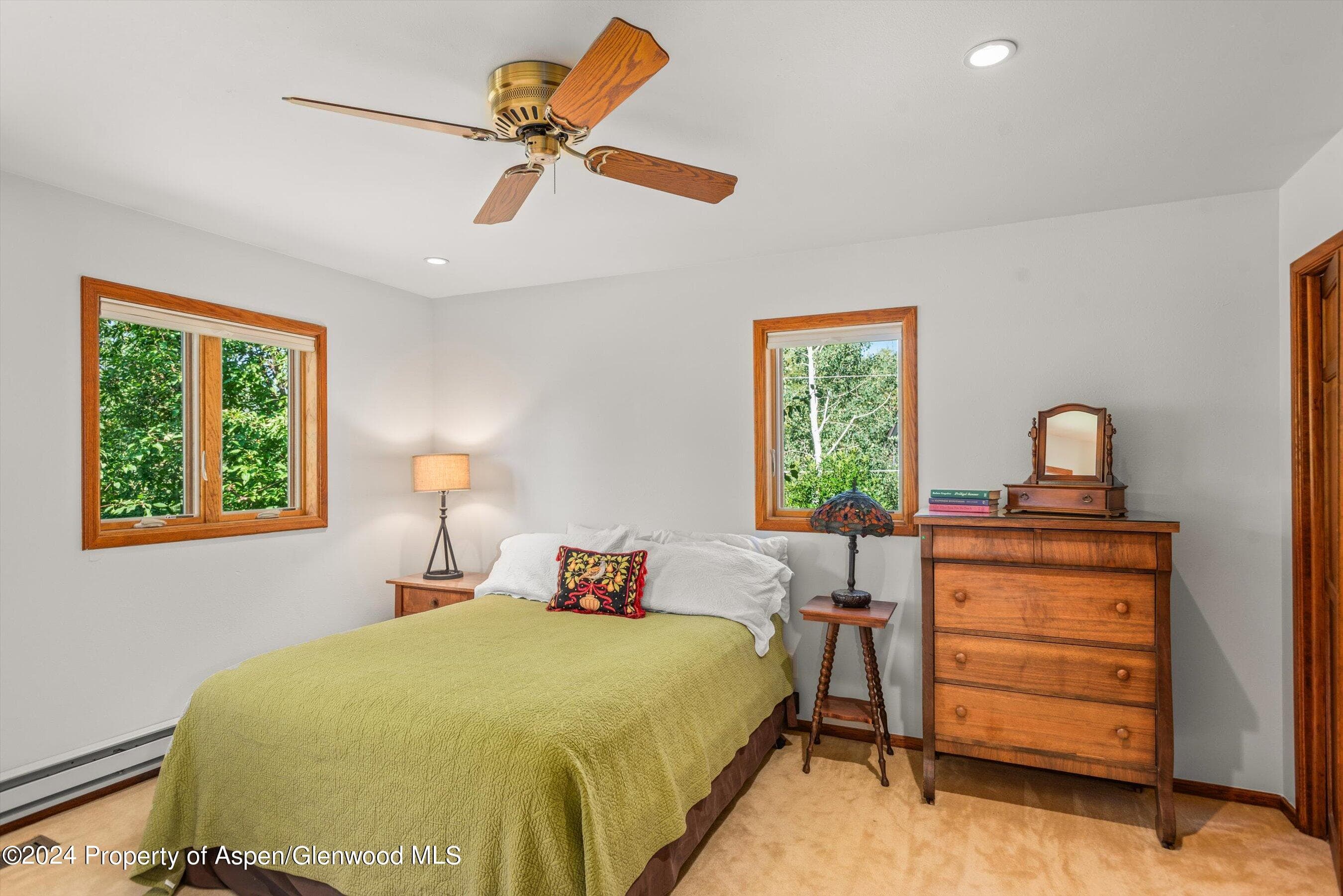 160 Pine Street, Carbondale, CO 81623 - Photo 29