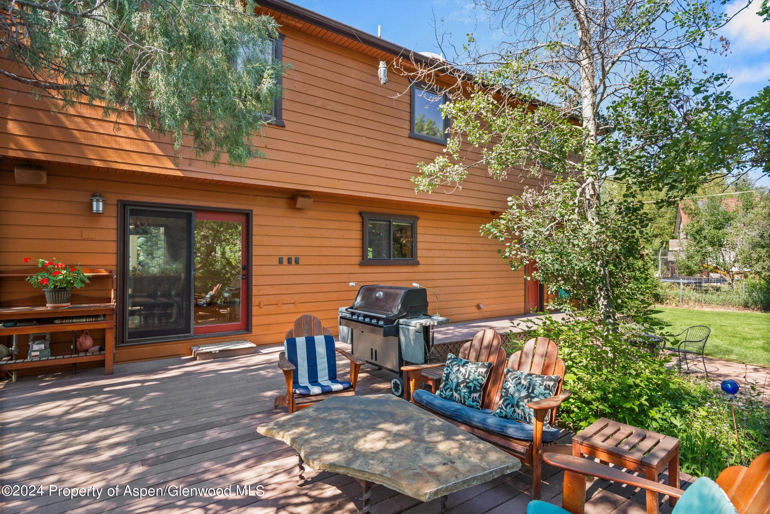 160 Pine Street, Carbondale, CO 81623 - Photo 32