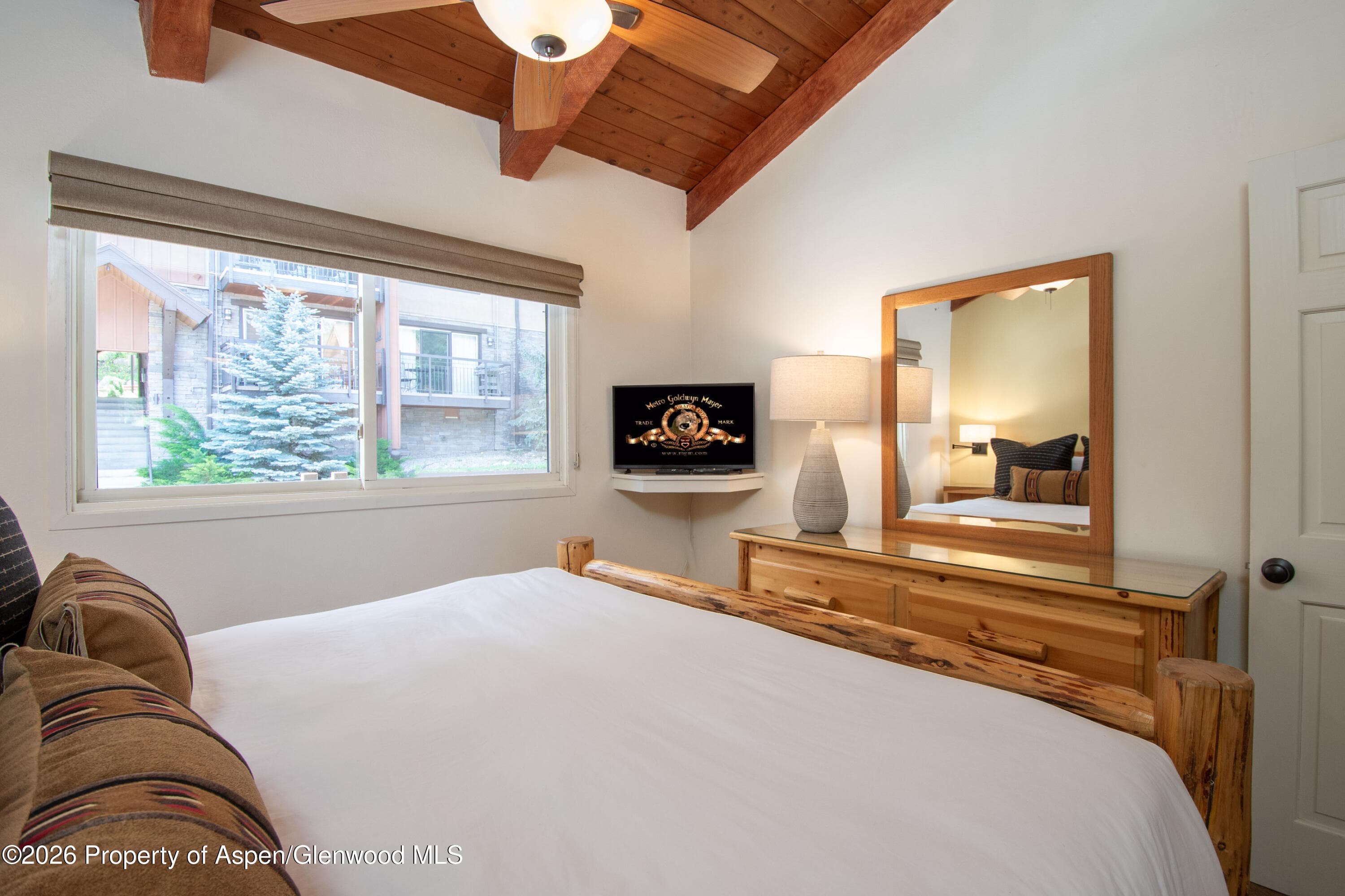 400 Wood Road 1204, Snowmass Village, CO 81615 - Photo 12
