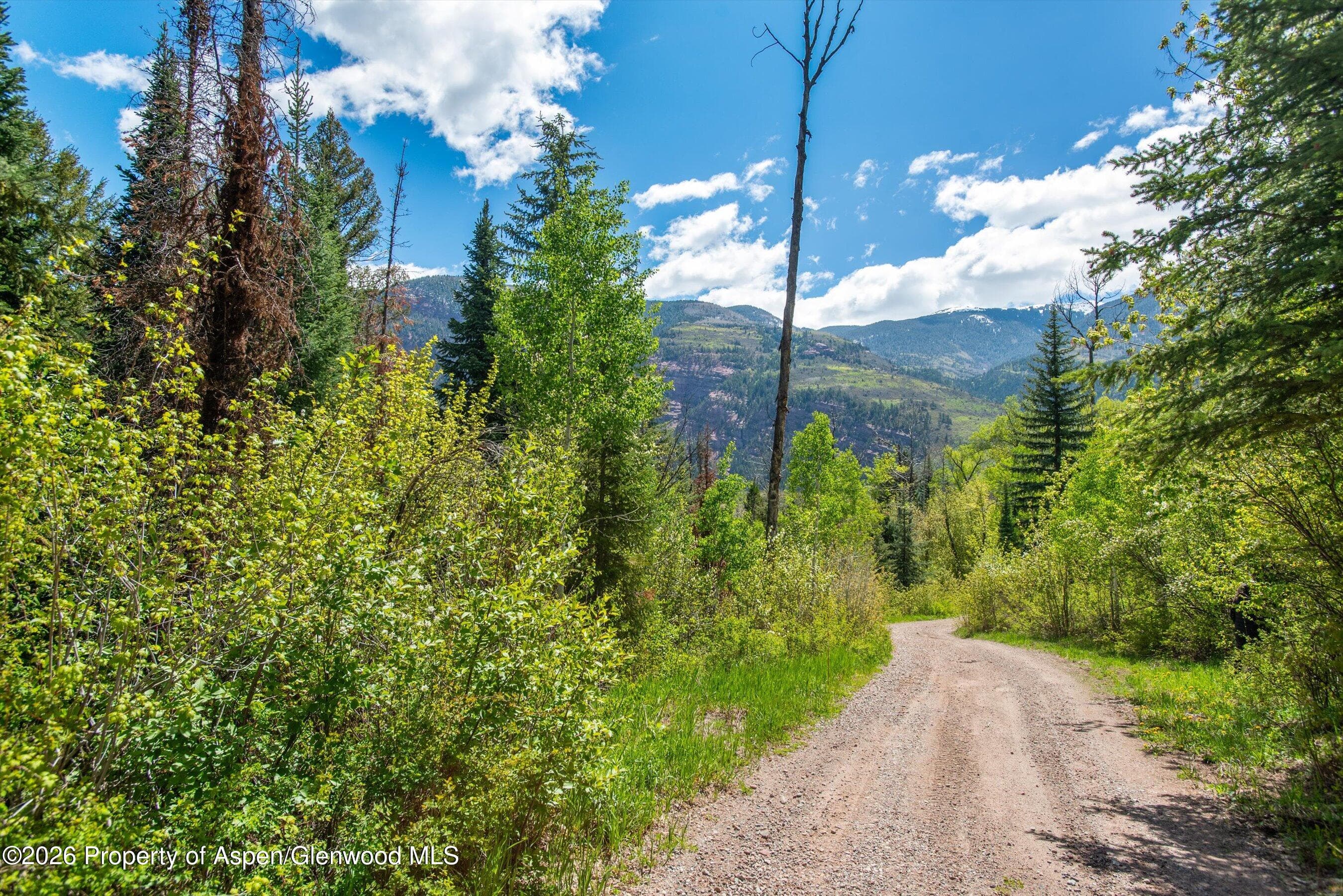 Tbd Coal Creek Road, Redstone, CO 81623 - Photo 2