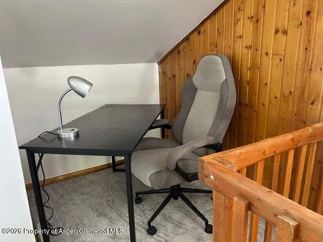 925 Palmer Avenue, Glenwood Springs, CO 81601 - Photo 14