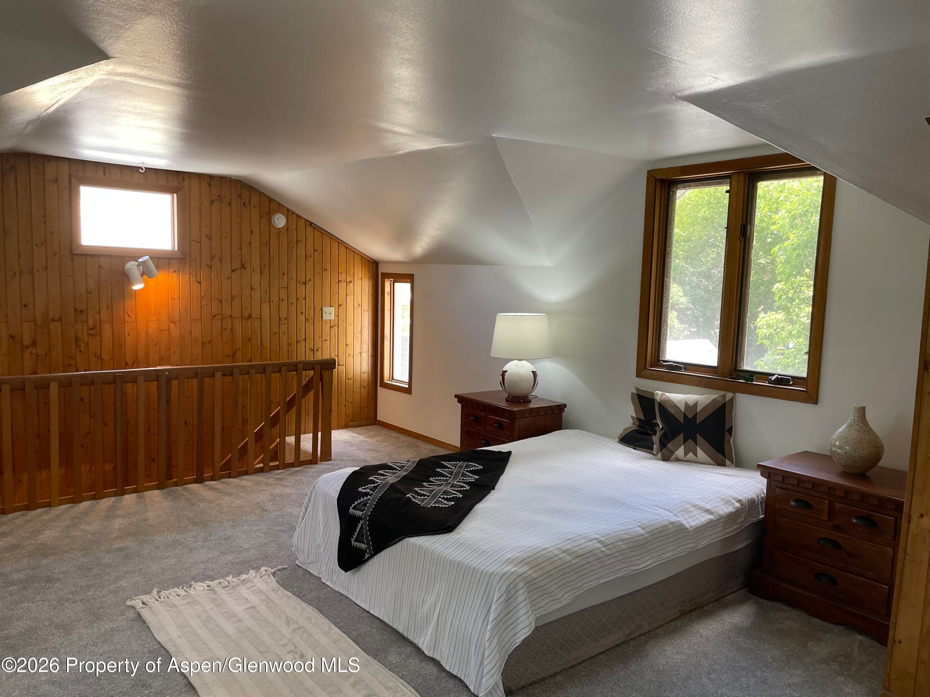925 Palmer Avenue, Glenwood Springs, CO 81601 - Photo 13