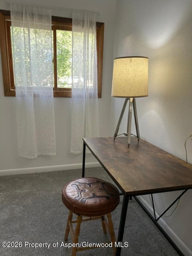 925 Palmer Avenue, Glenwood Springs, CO 81601 - Photo 21