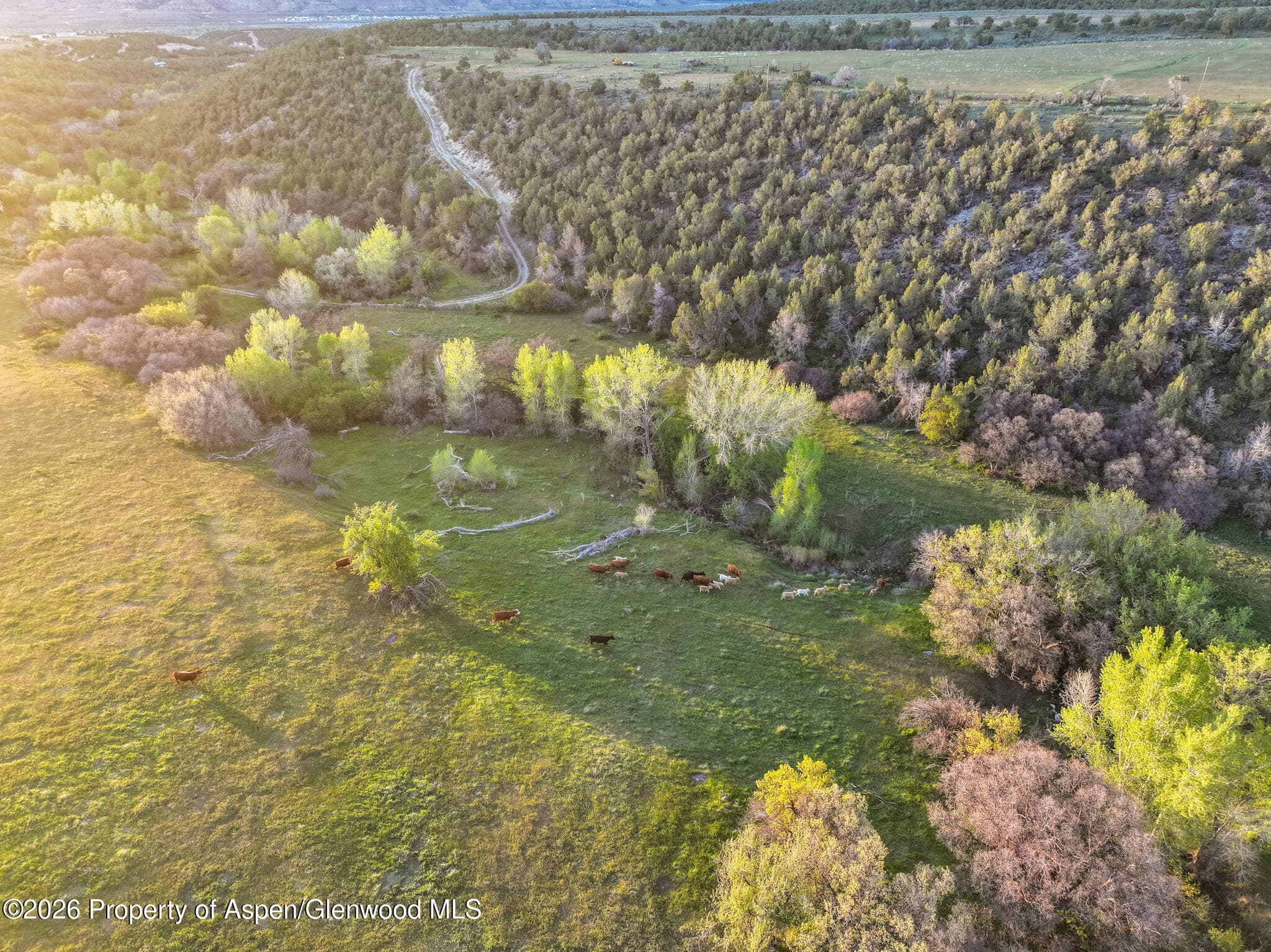 306 County Road, Parachute, CO 81635 - Photo 6