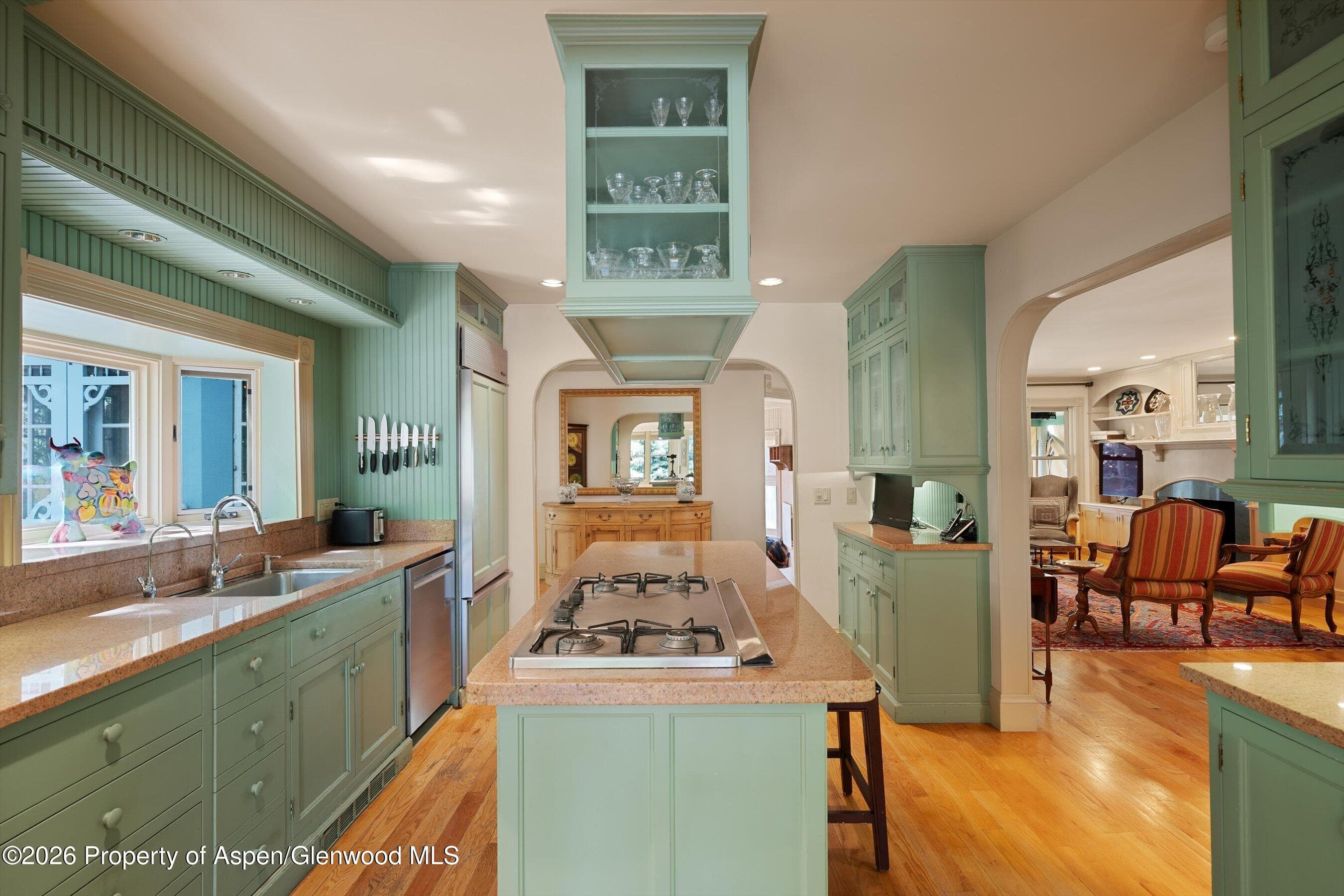 715 W Smuggler Street, Aspen, CO 81611 - Photo 8