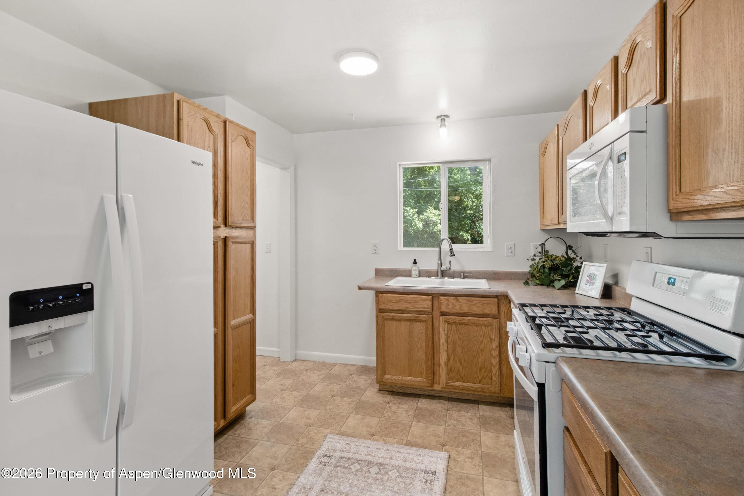 107 Virginia Road, Glenwood Springs, CO 81601 - Photo 4