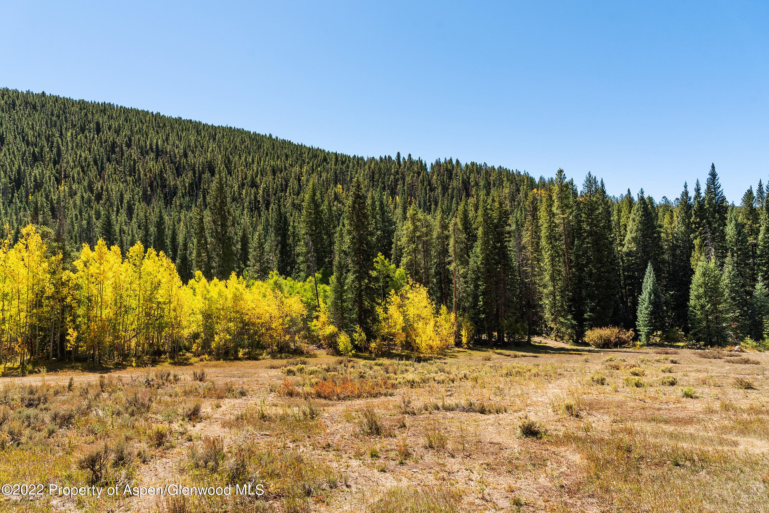 2450 North Fork Road, Meredith, CO 81642 - Photo 29