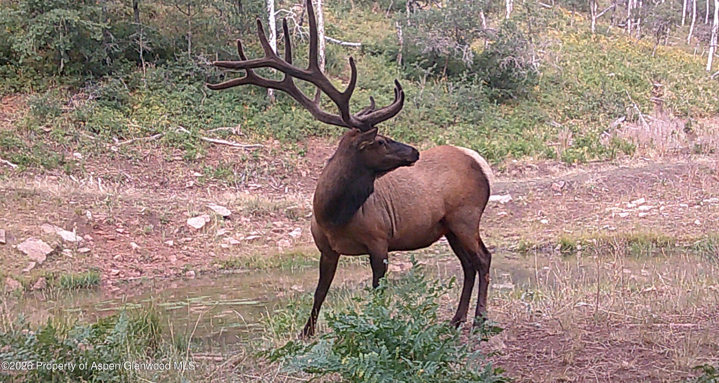 Tbd Ms Road, Glade Park, CO 81523 - Photo 14