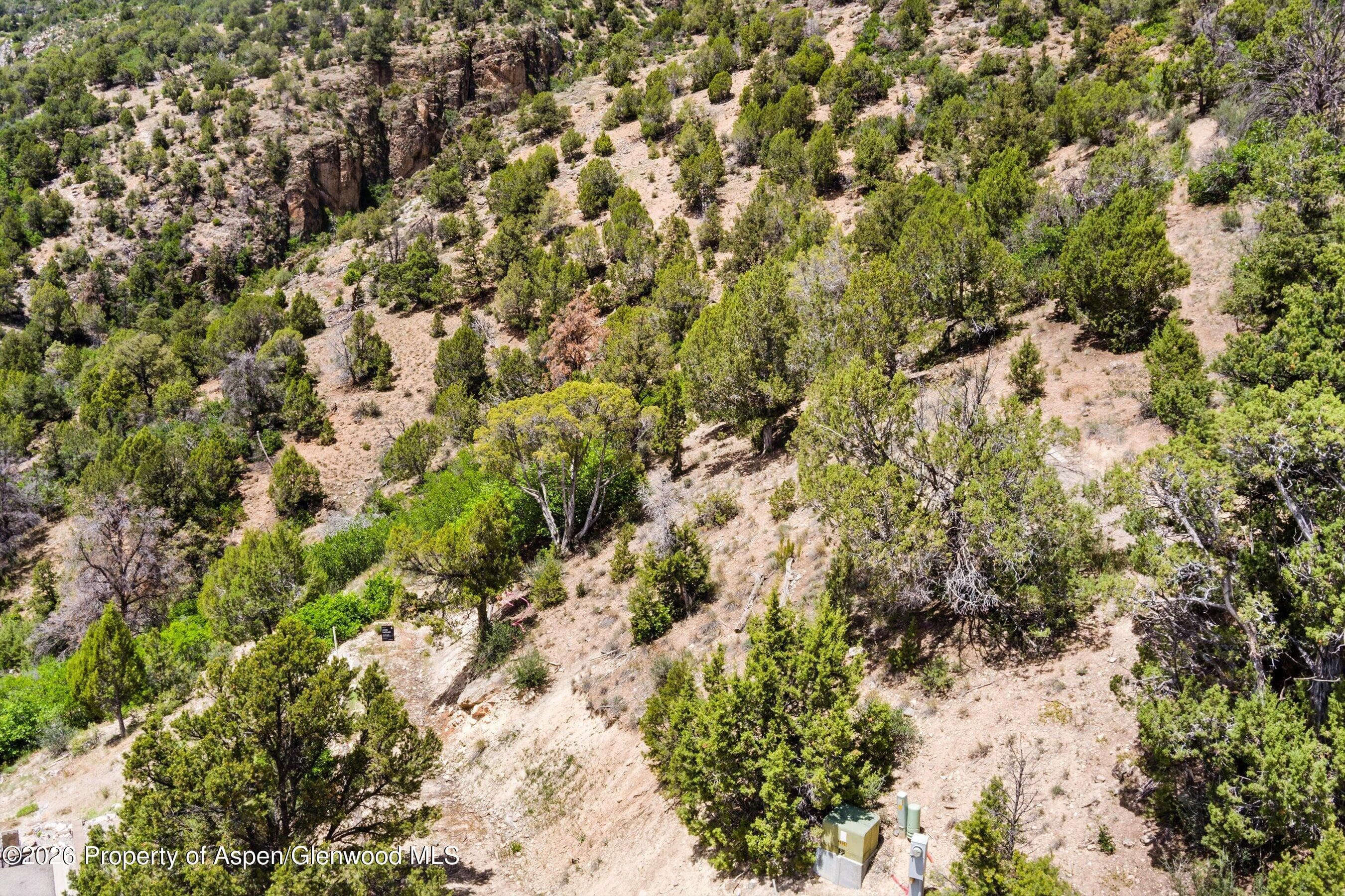 718 Silver Oak Drive, Glenwood Springs, CO 81601 - Photo 5