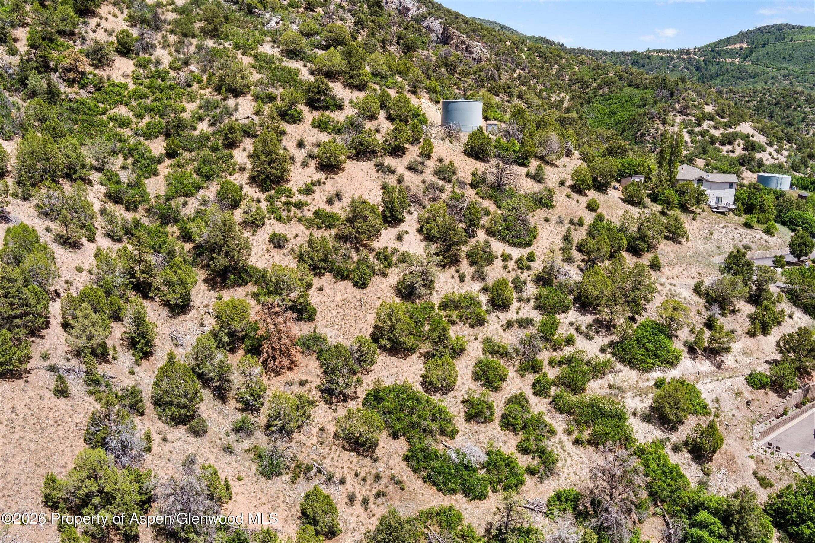 718 Silver Oak Drive, Glenwood Springs, CO 81601 - Photo 9