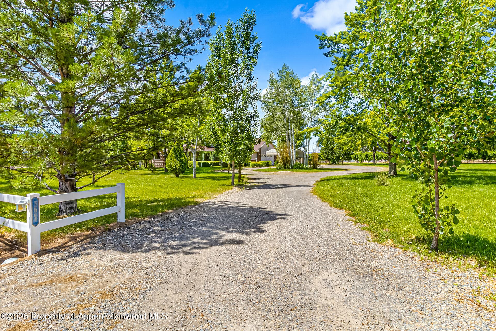 3609 G Road, Palisade, CO 81526 - Photo 7