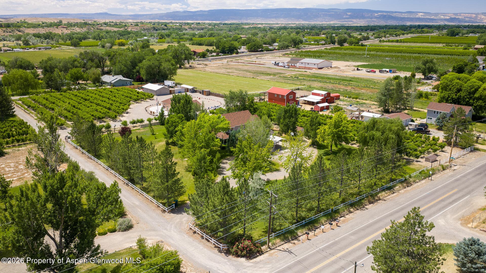 3609 G Road, Palisade, CO 81526 - Photo 43