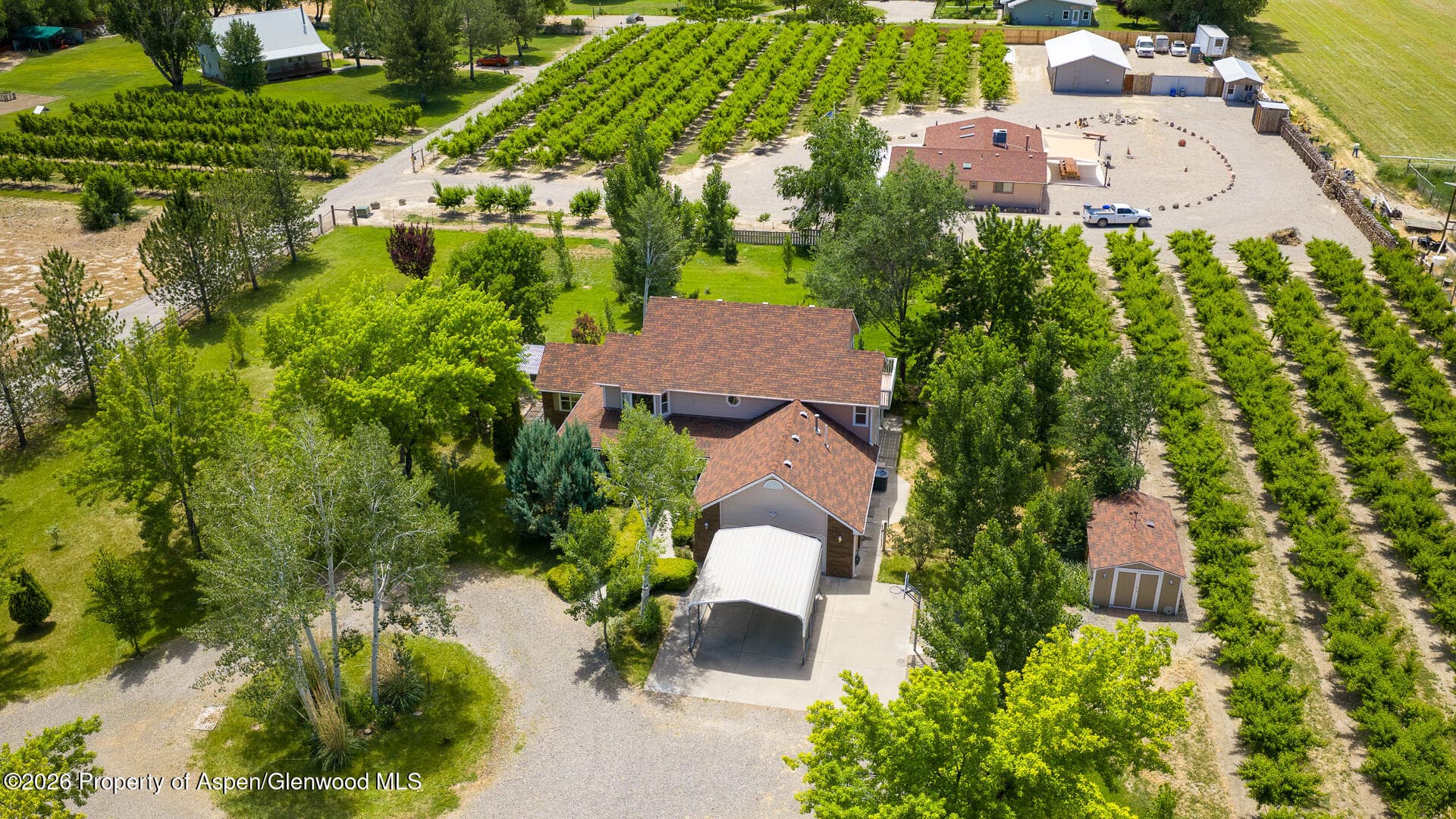 3609 G Road, Palisade, CO 81526 - Photo 53