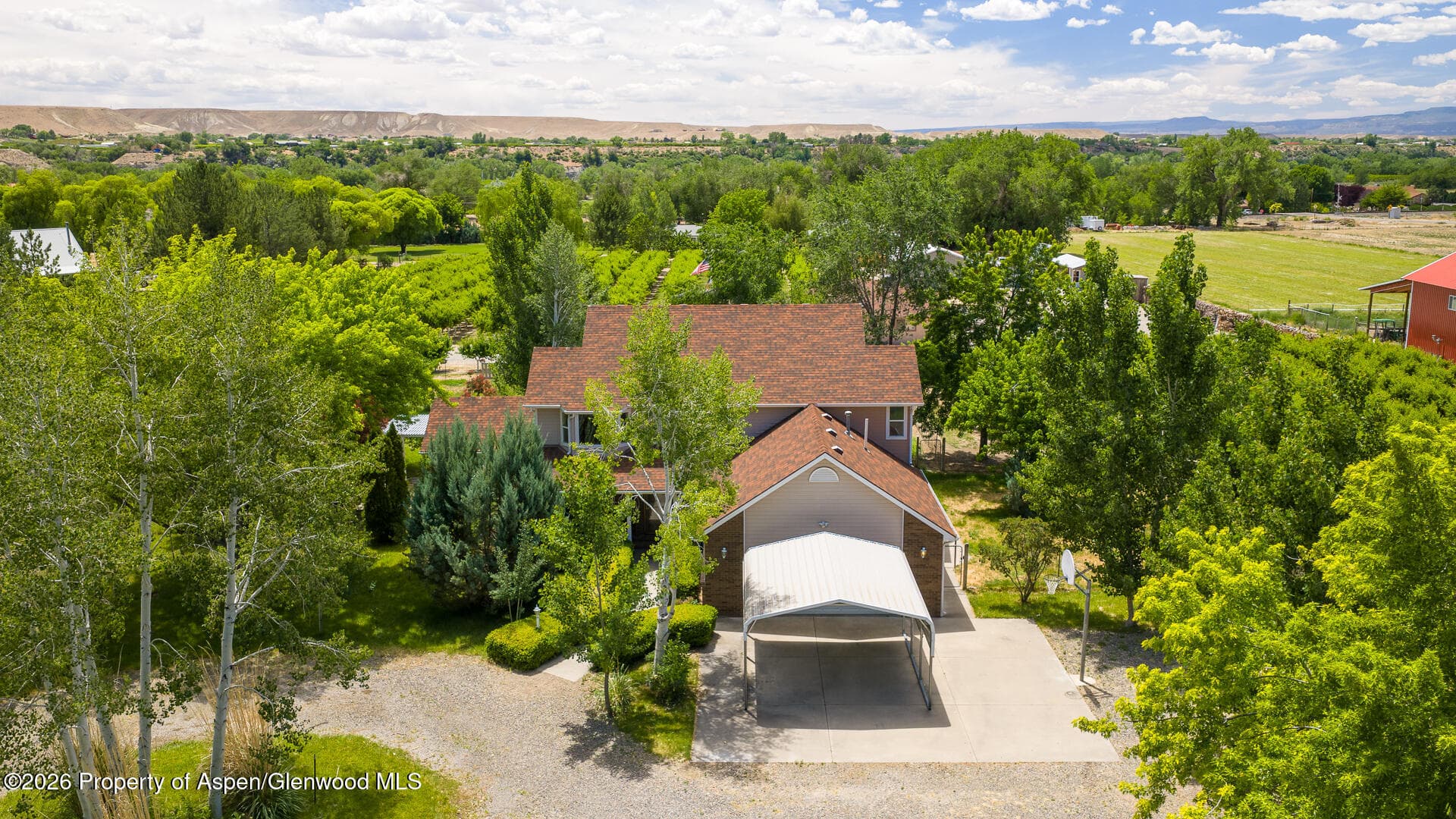 3609 G Road, Palisade, CO 81526 - Photo 54