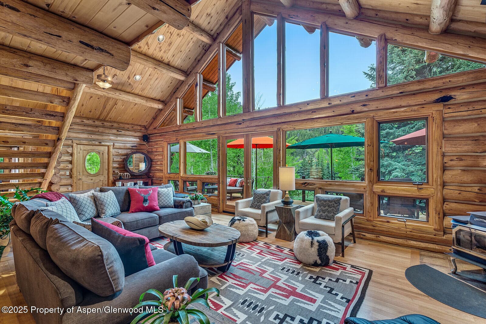 251 Chair Mountain Drive, Redstone, CO 81623 - Photo 5