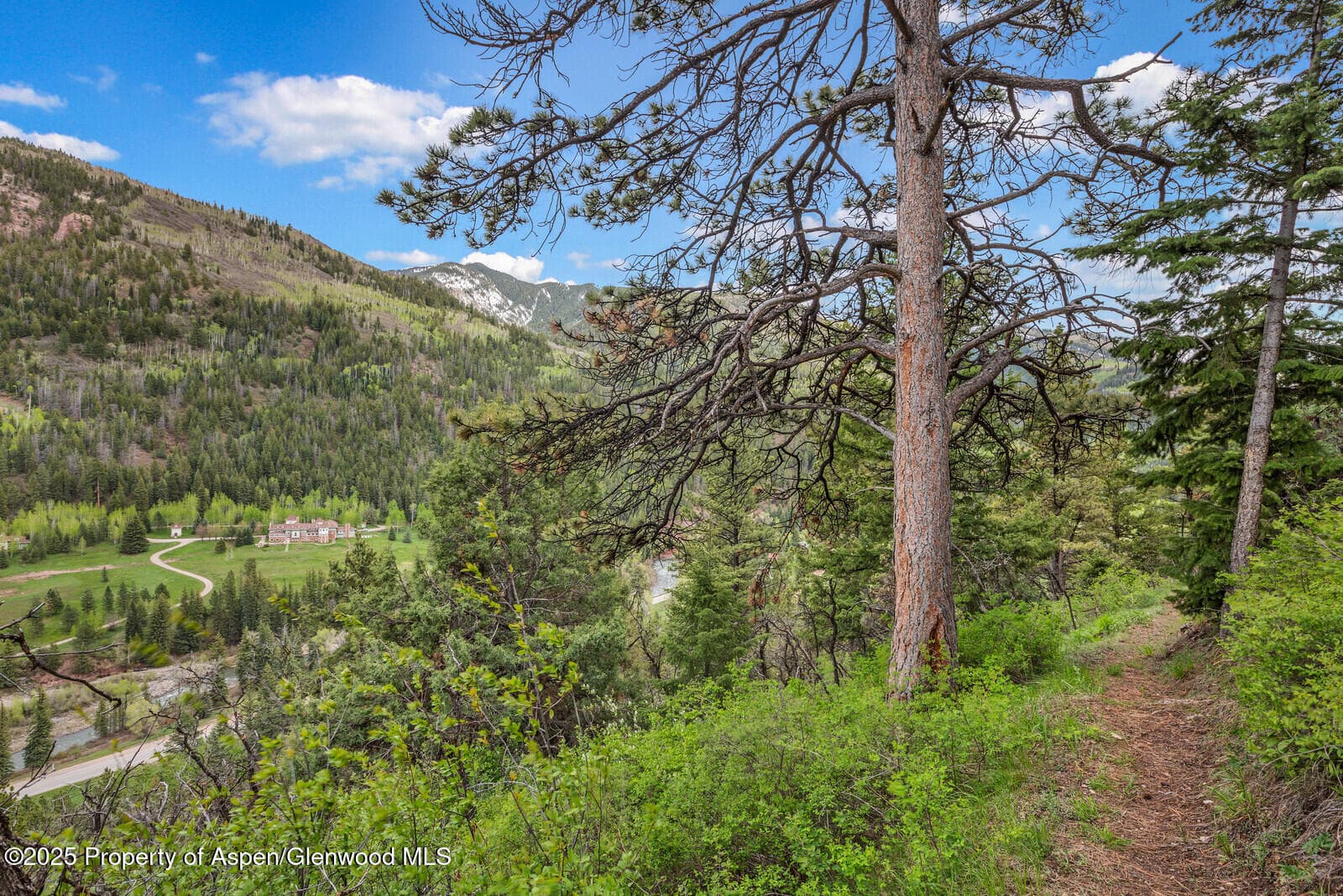 251 Chair Mountain Drive, Redstone, CO 81623 - Photo 41