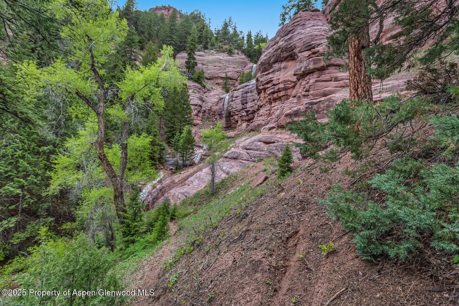 251 Chair Mountain Drive, Redstone, CO 81623 - Photo 43