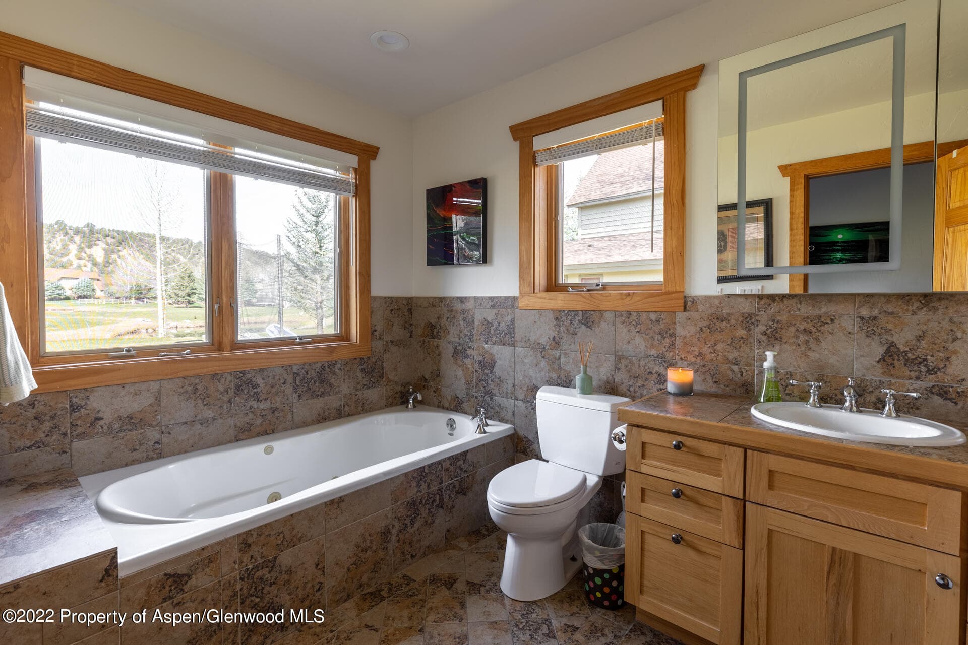 1103 Heritage Drive, Carbondale, CO 81623 - Photo 15