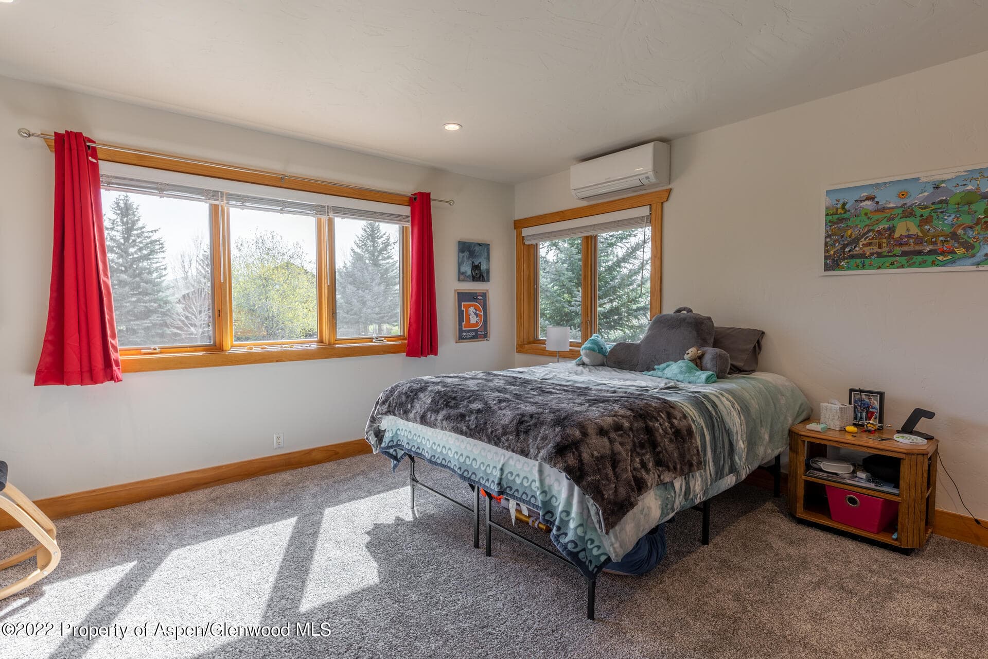 1103 Heritage Drive, Carbondale, CO 81623 - Photo 19