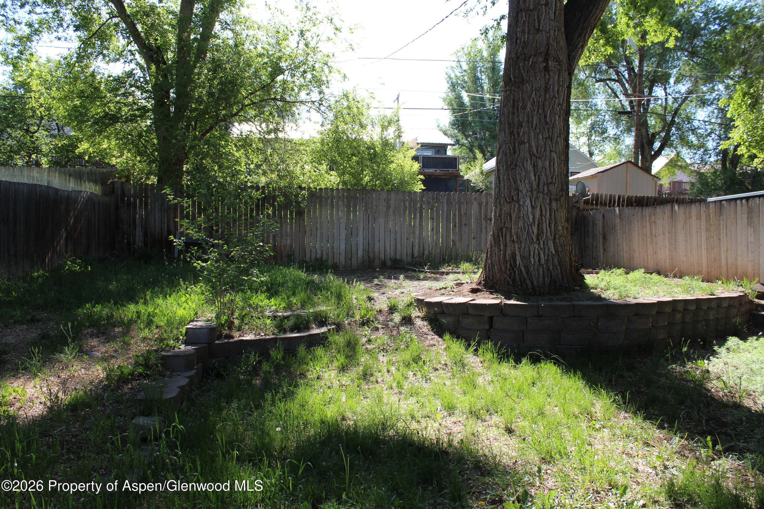 802 East Avenue, Rifle, CO 81650 - Photo 8