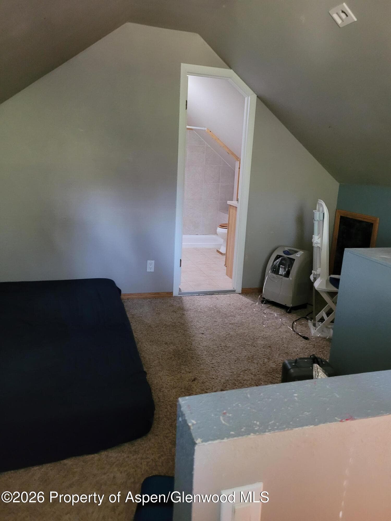 802 East Avenue, Rifle, CO 81650 - Photo 6