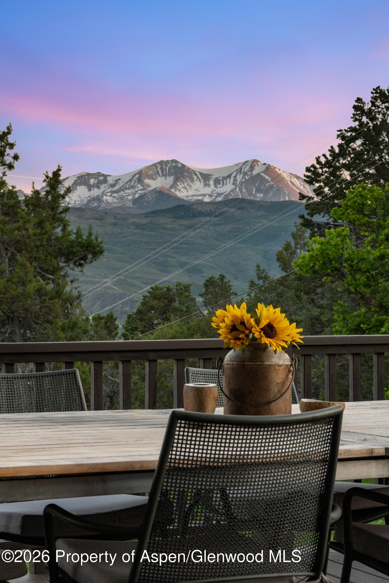 775 Vista Hi Drive, Carbondale, CO 81623 - Photo 41