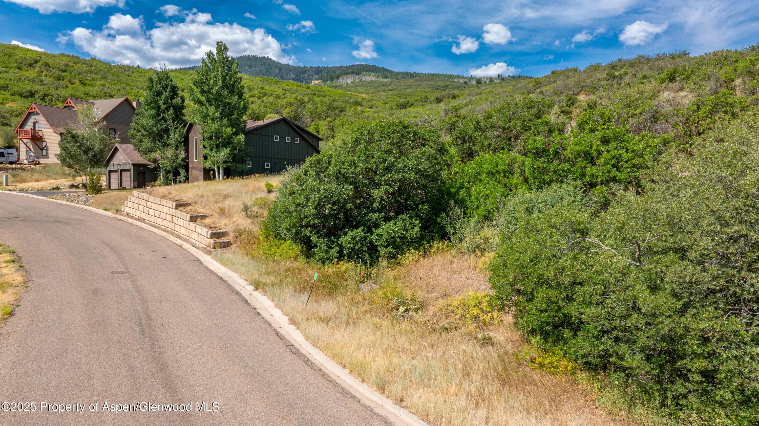 305 Old Midland - Photo 2