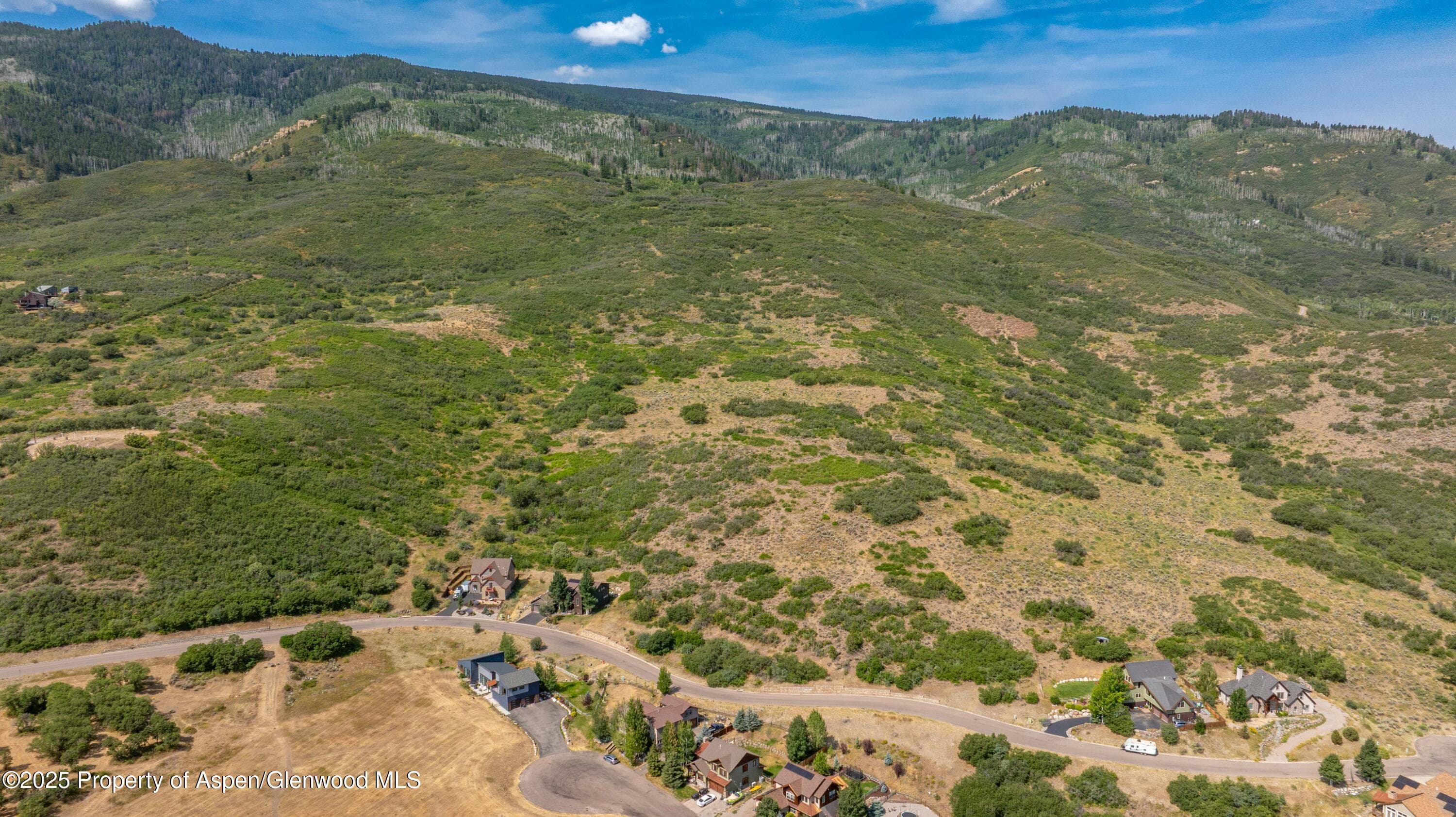 305 Old Midland - Photo 6